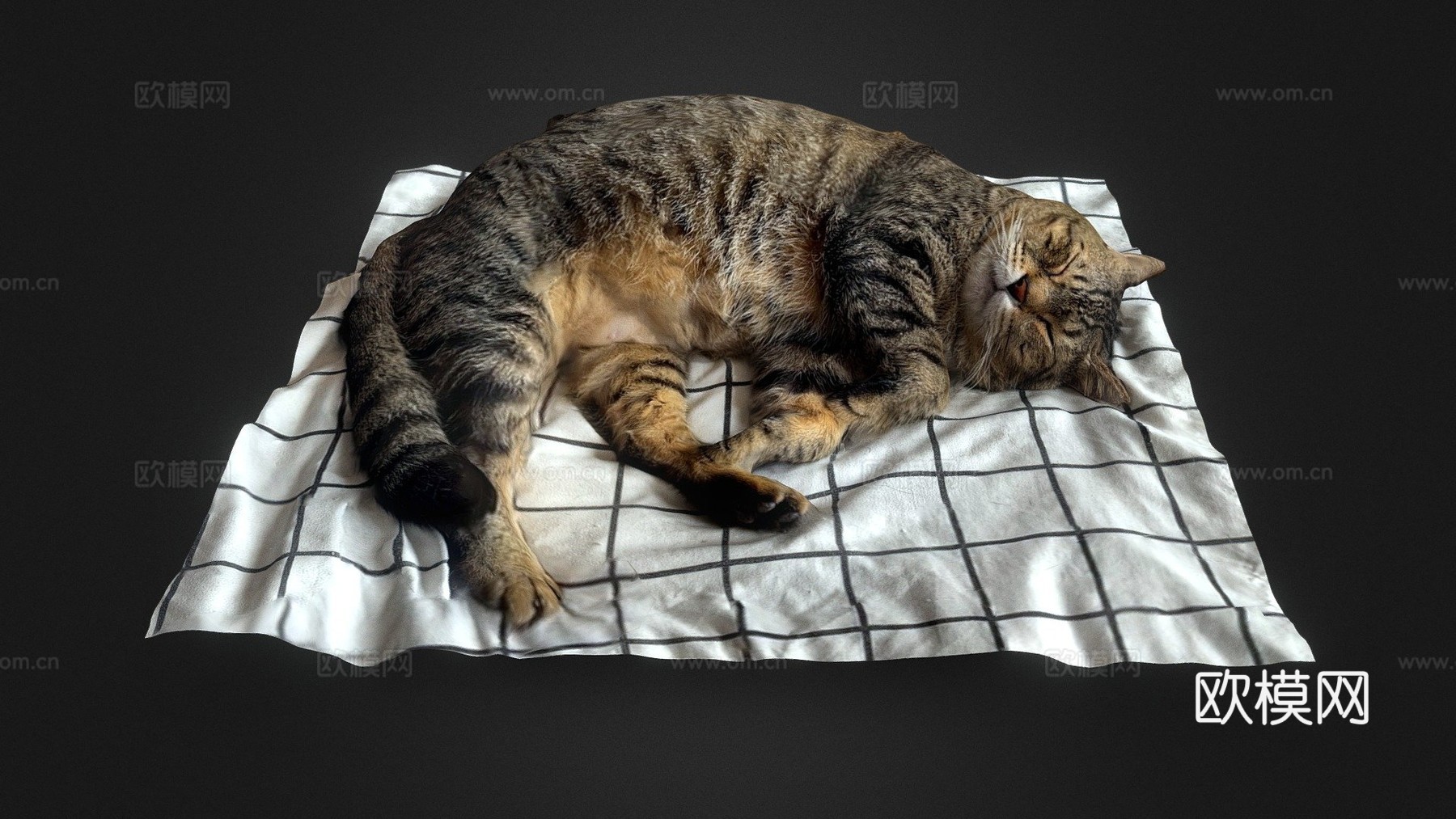 床上睡猫1-3D扫描su模型