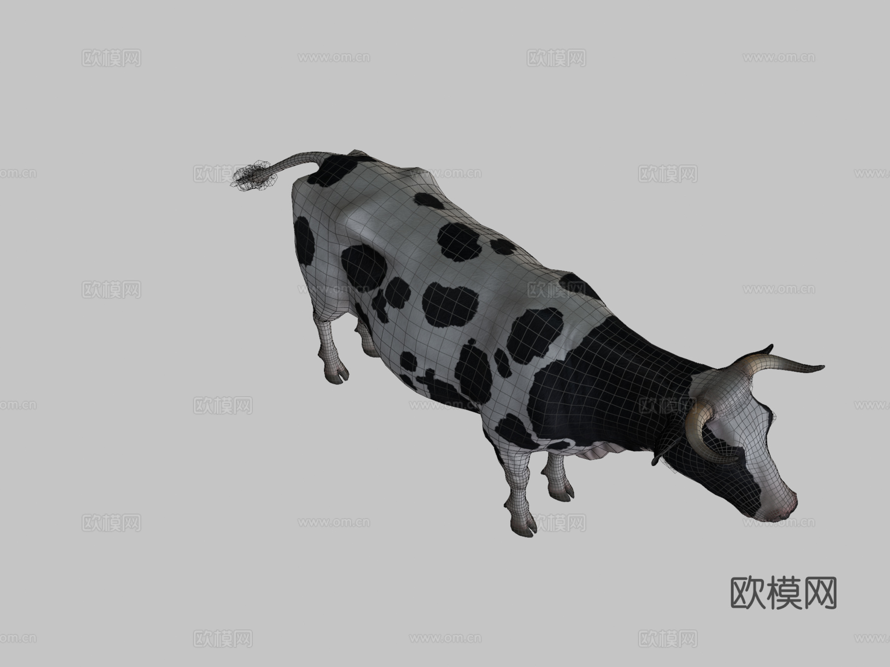 奶牛动画第二版3d模型