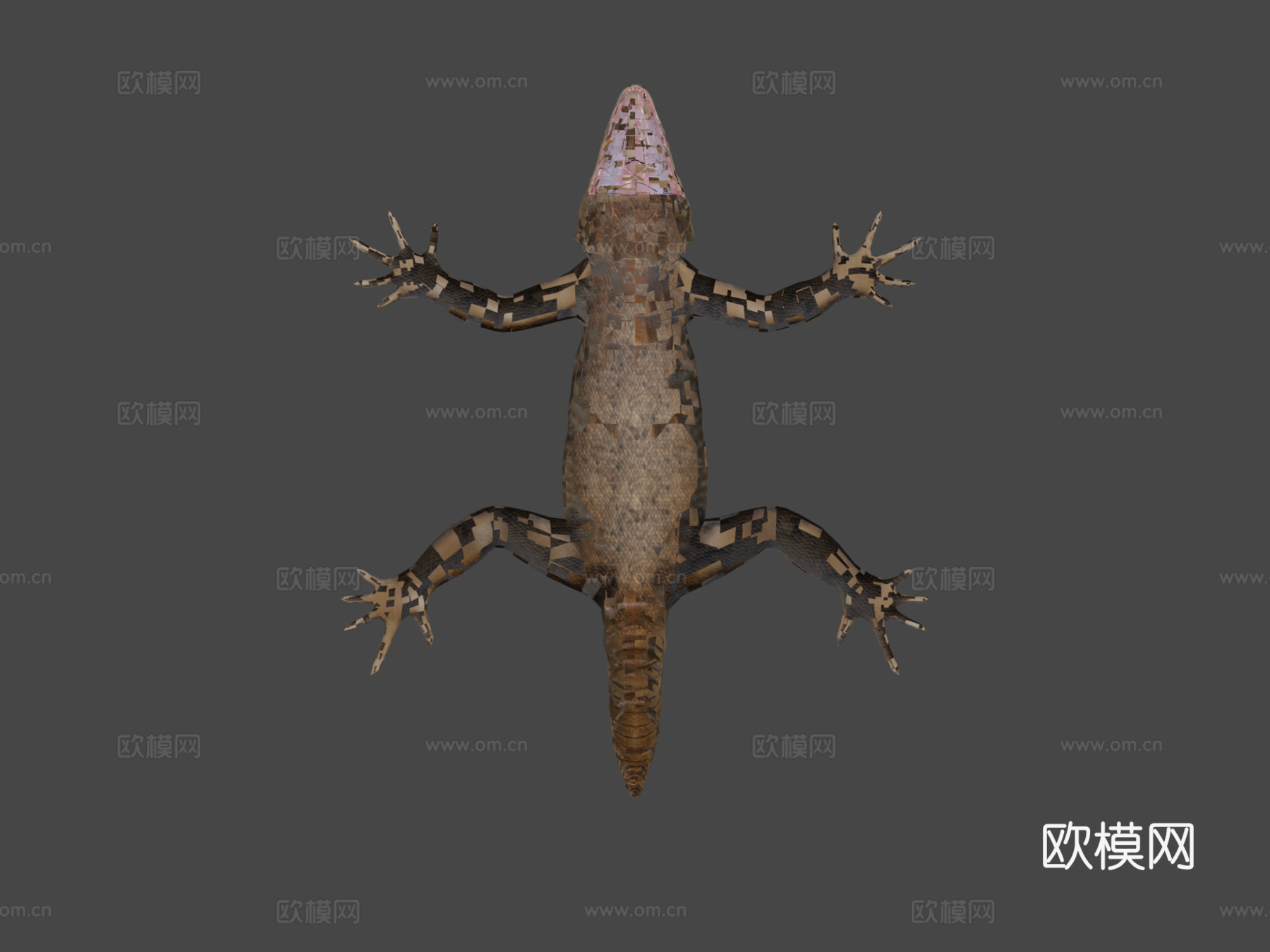 鳄鱼石龙子3d模型