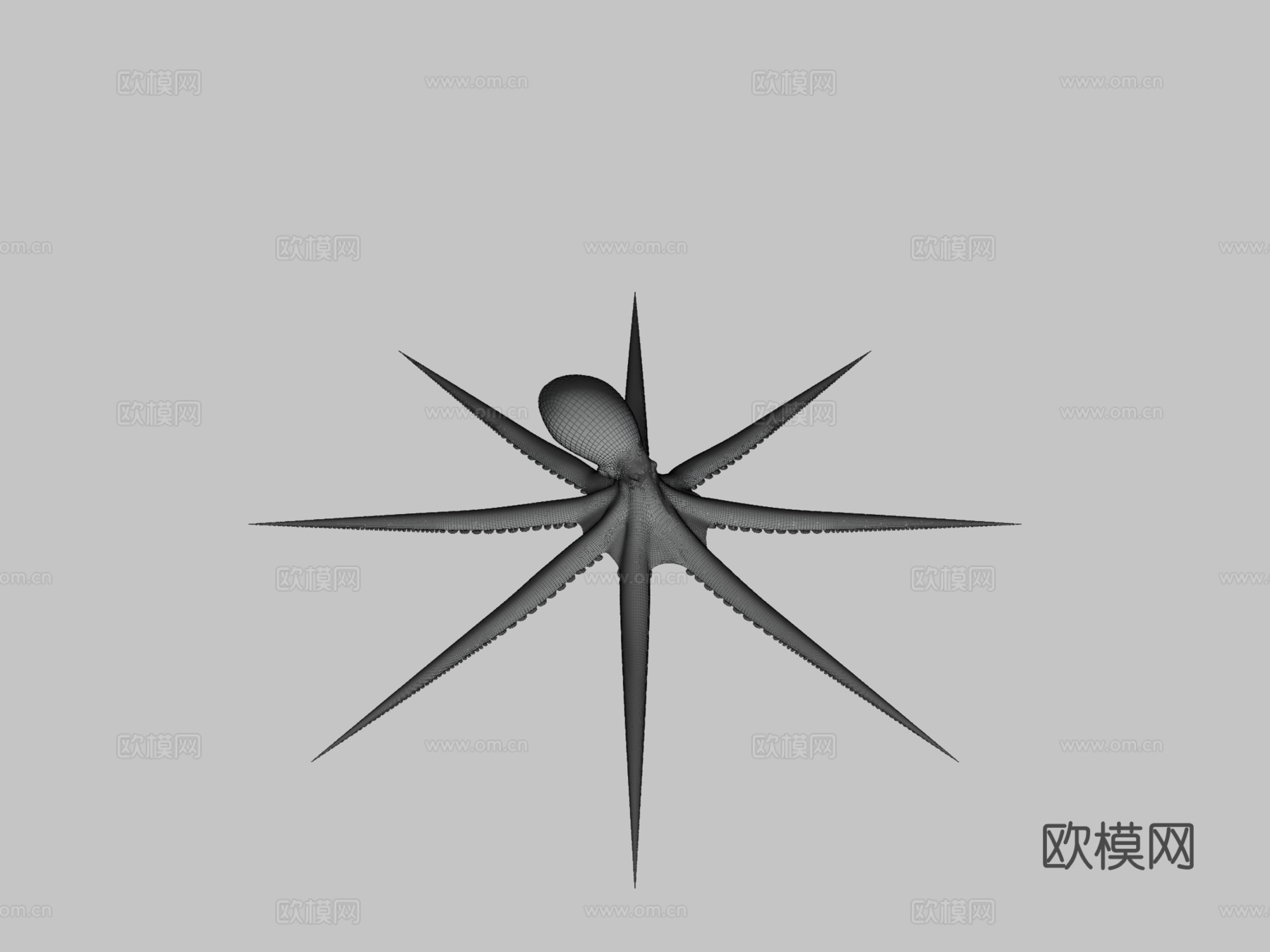 太平洋章鱼动画3d模型