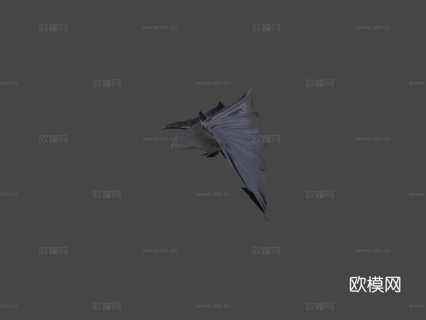梅德休乌鸦3d模型