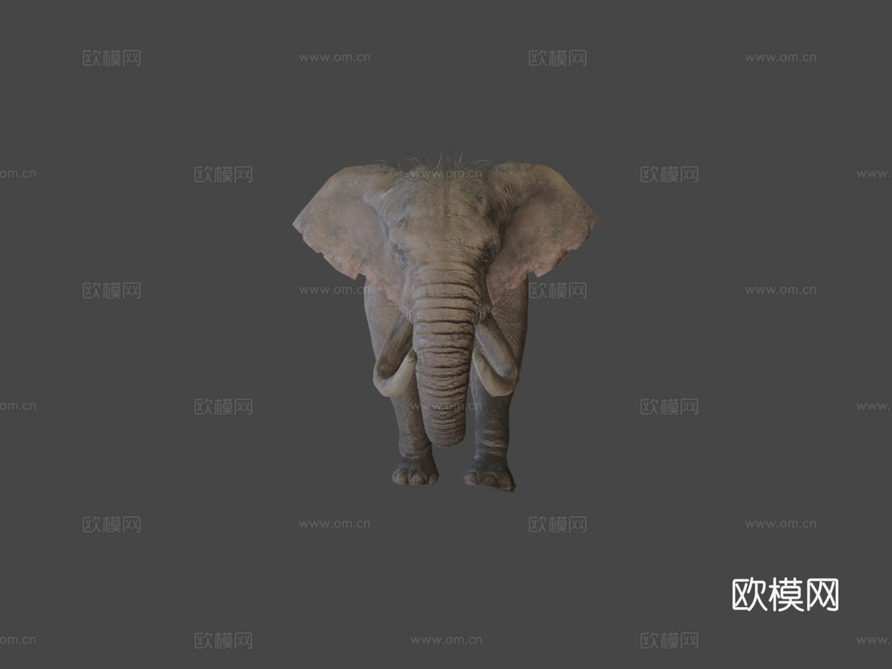大象行走动画3d模型