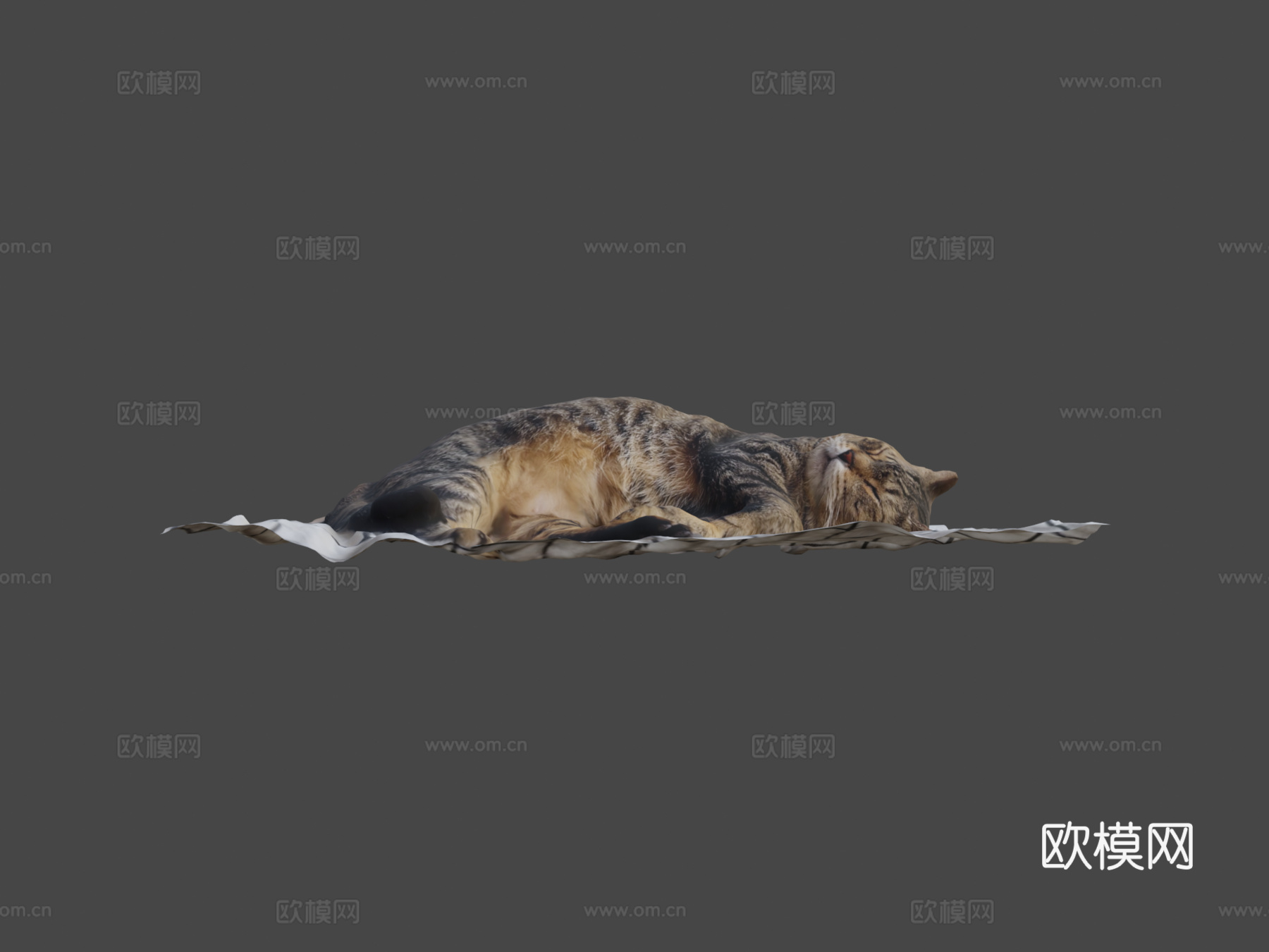 床上睡猫1-3D扫描su模型