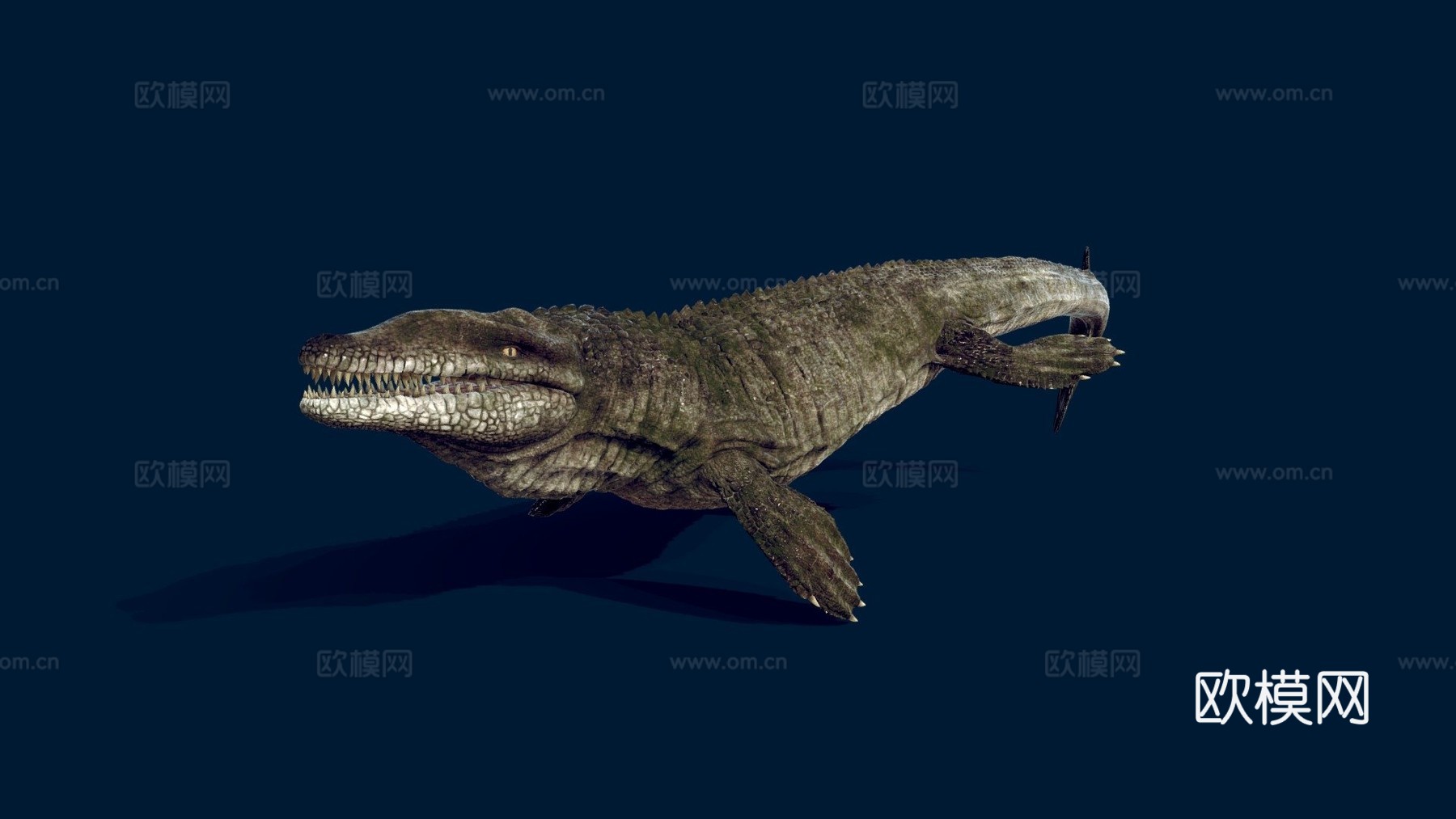 达科龙3d模型