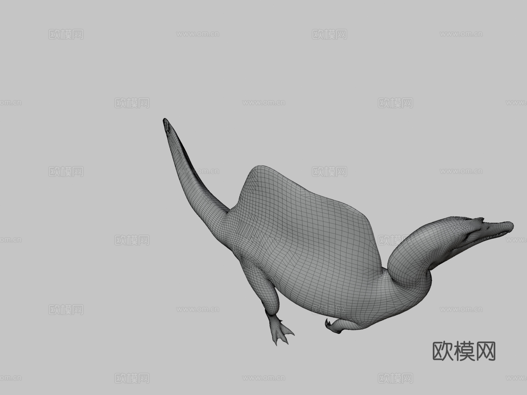 埃及棘龙3d模型