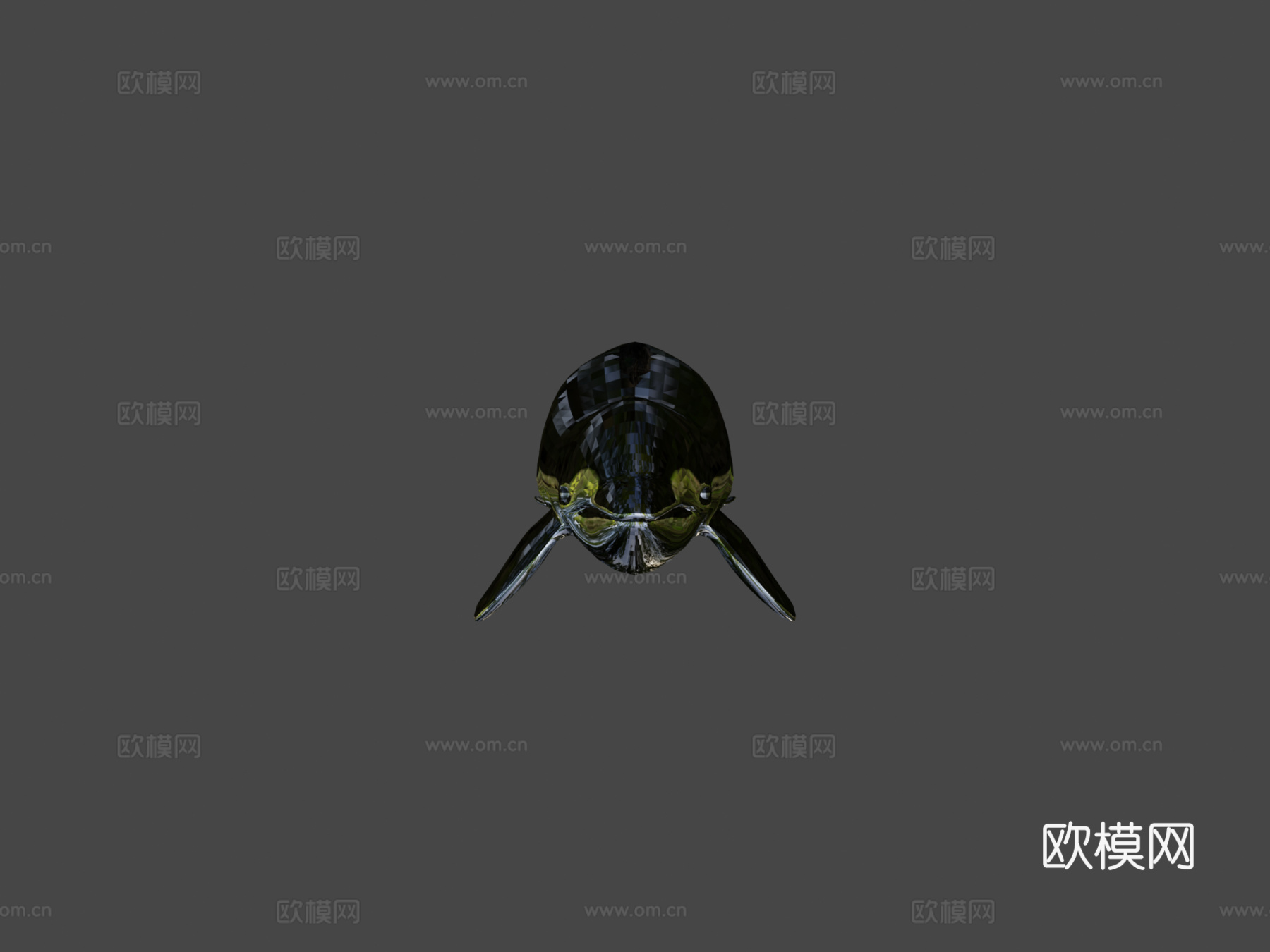 白鲸3d模型