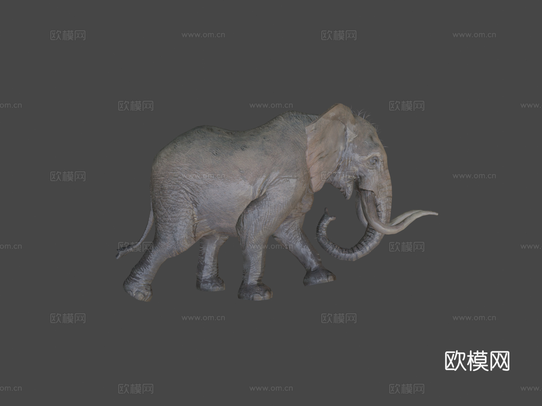 大象行走动画3d模型