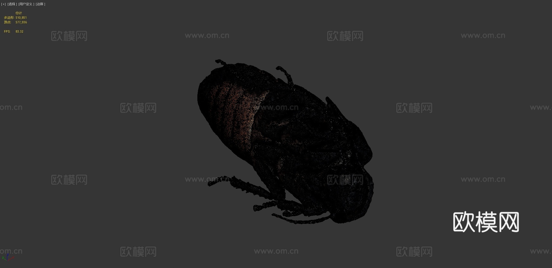 马达加斯加蟑螂3d模型