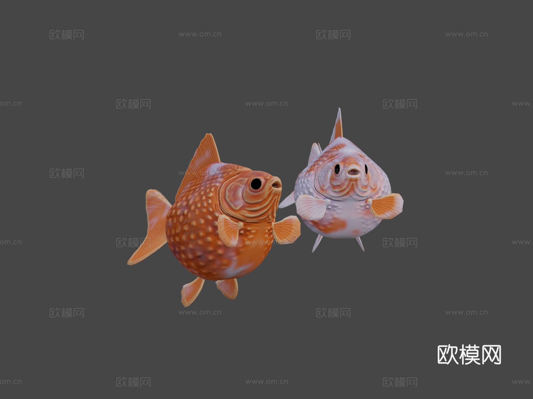珍珠鳞金鱼3d模型