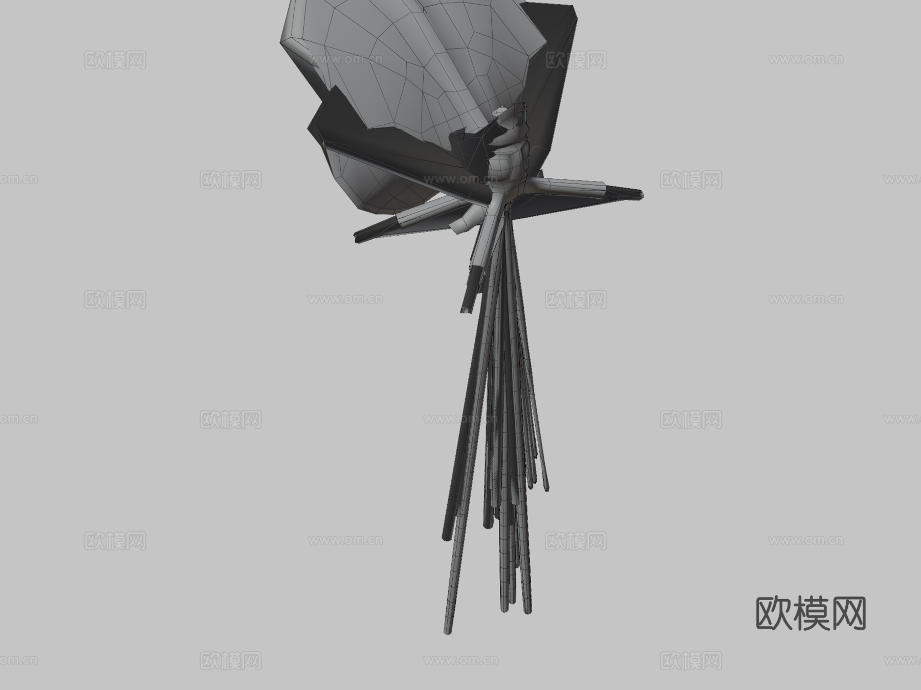 大鳍鱿鱼3d模型