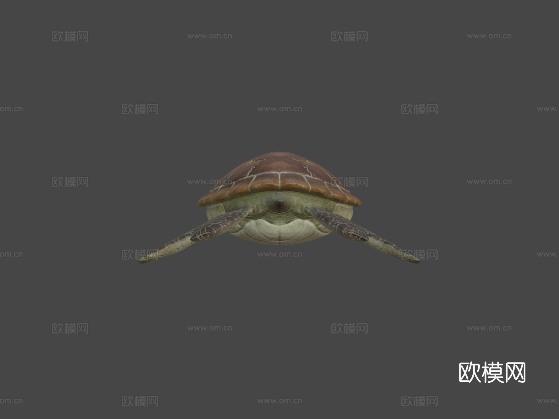 海龟低多边形3d模型