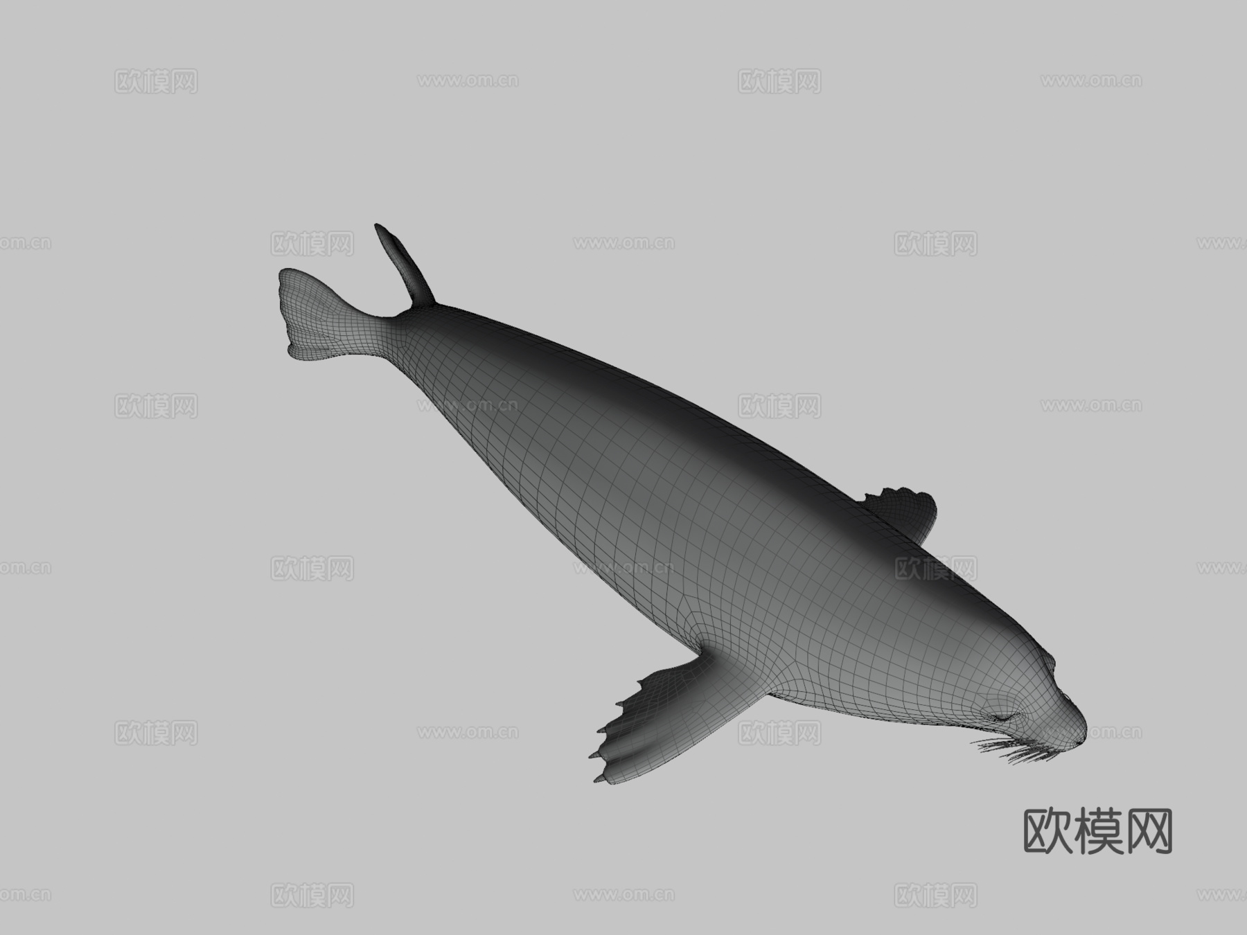 港海豹(斑海豹)3d模型