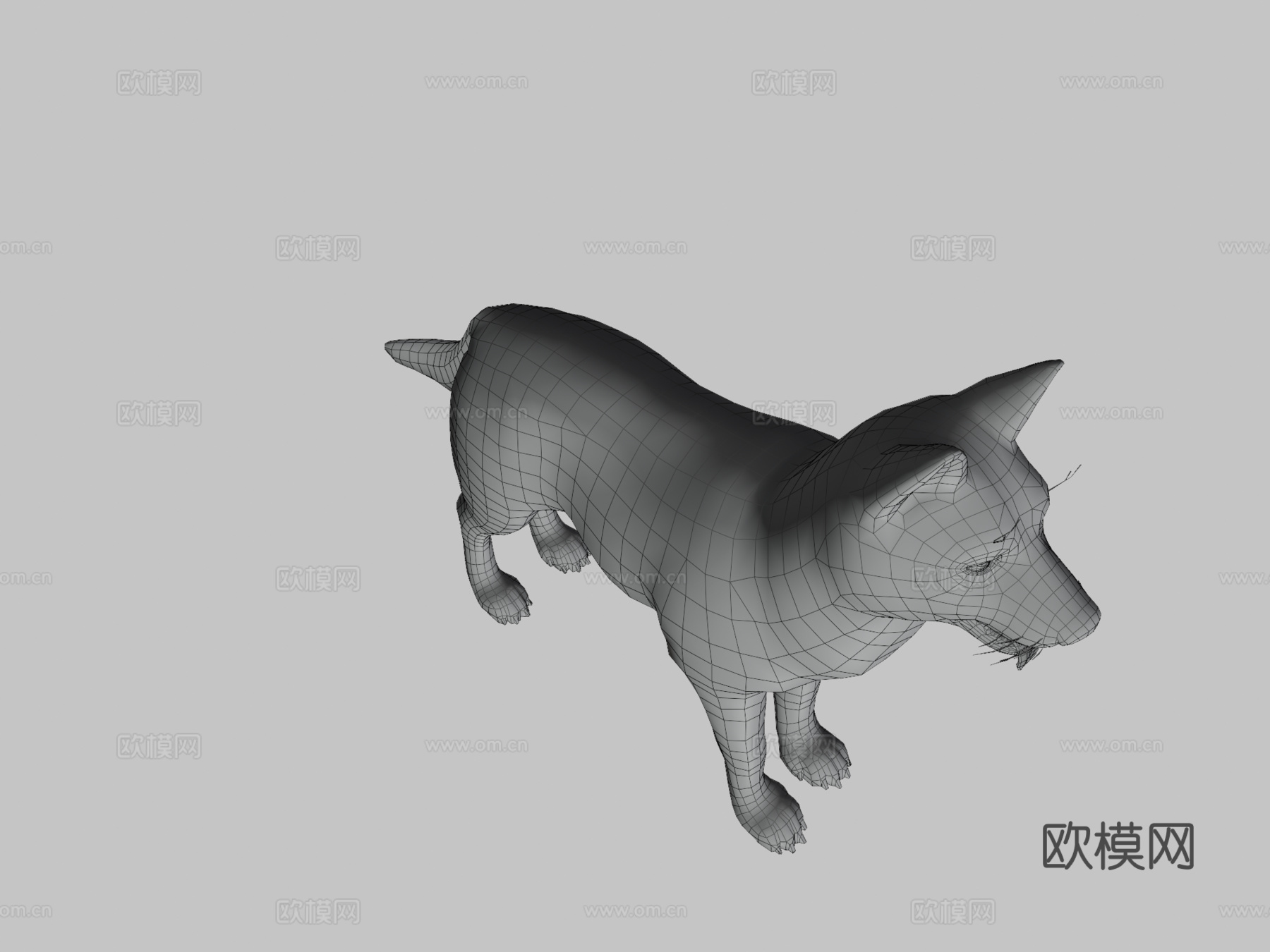 狗-哈士奇3d模型
