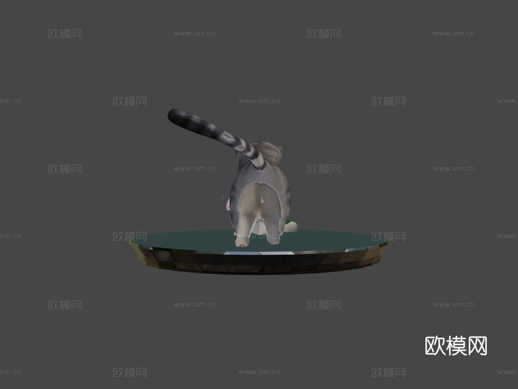 玩木偶的可爱小猫3d模型