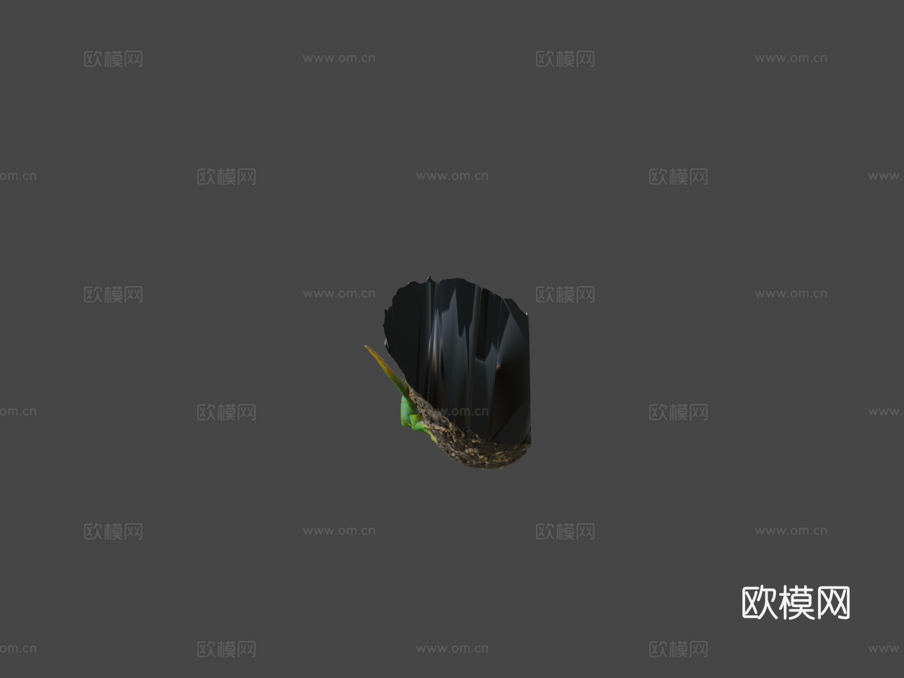 模型43-巨型日行壁虎3d模型