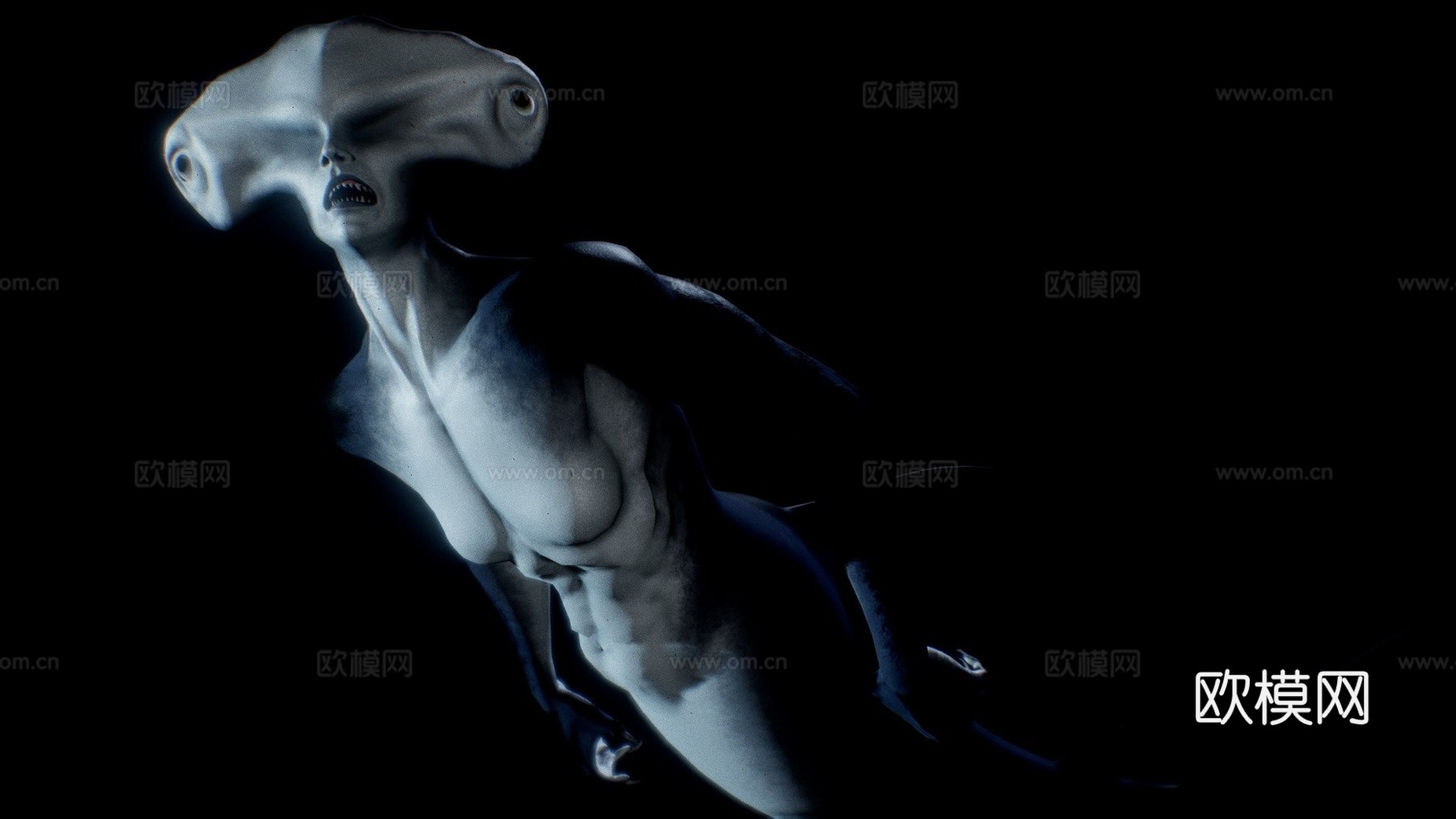 鲨鱼美人鱼3d模型