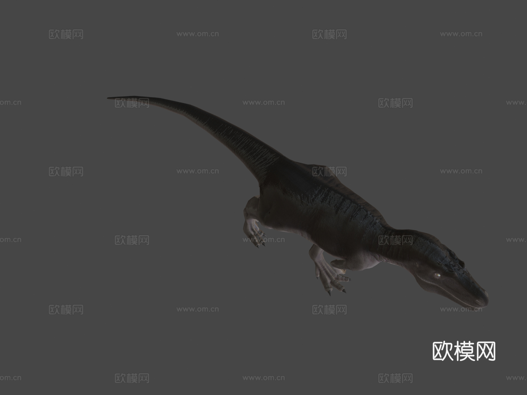 达斯布雷龙托罗苏斯3d模型