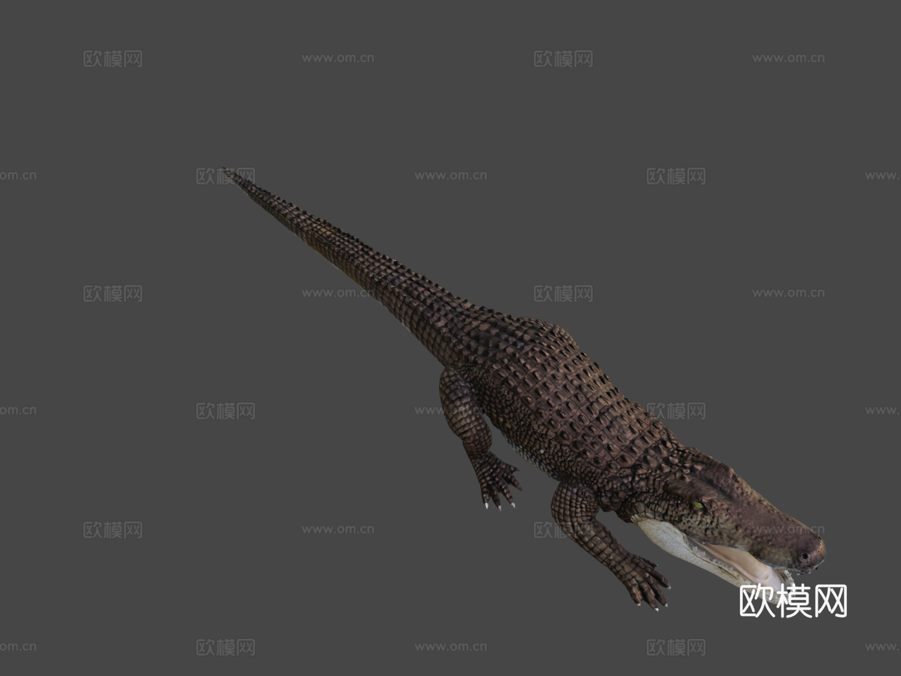短吻鳄3d模型