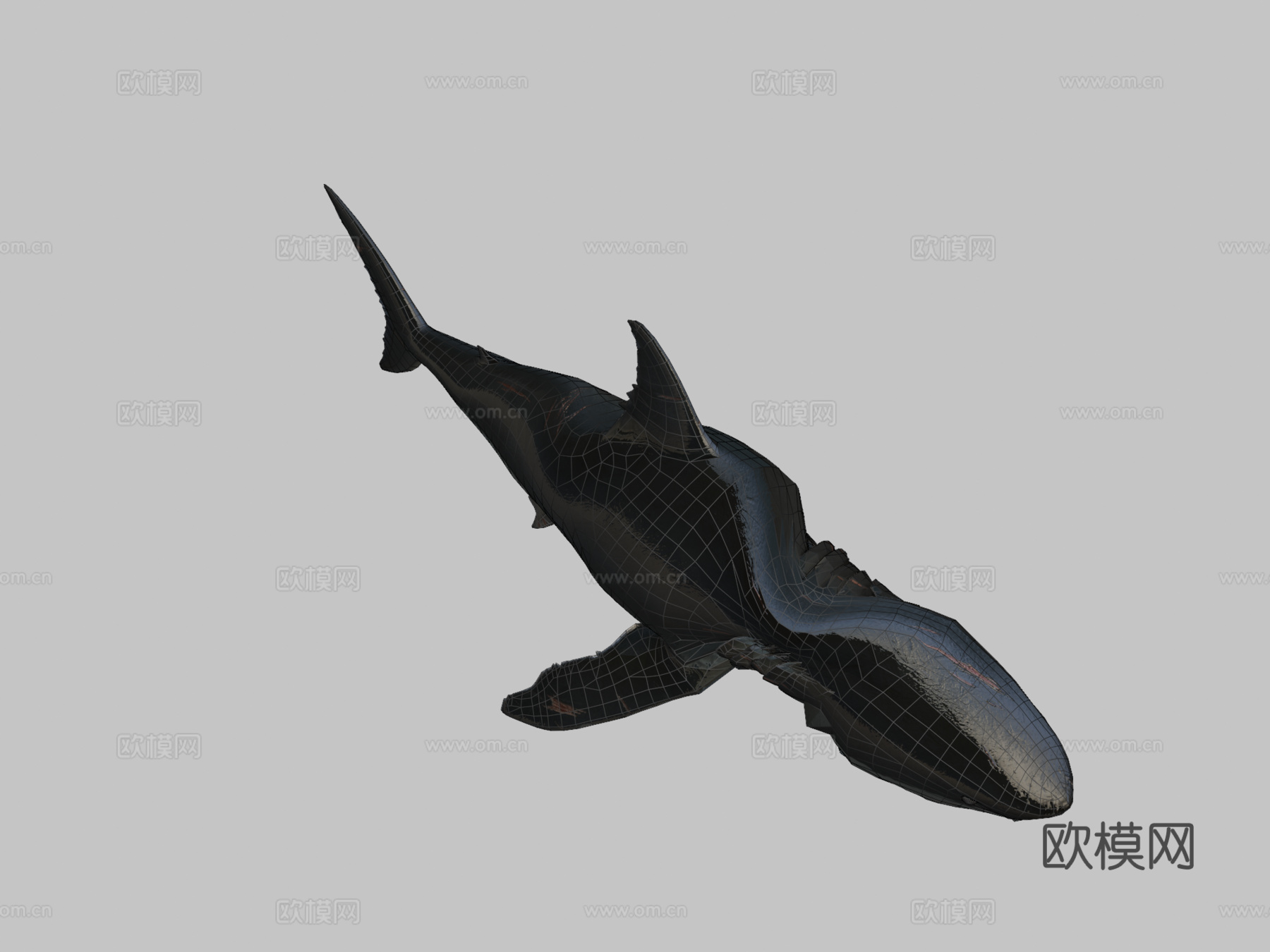 巨齿鲨3d模型
