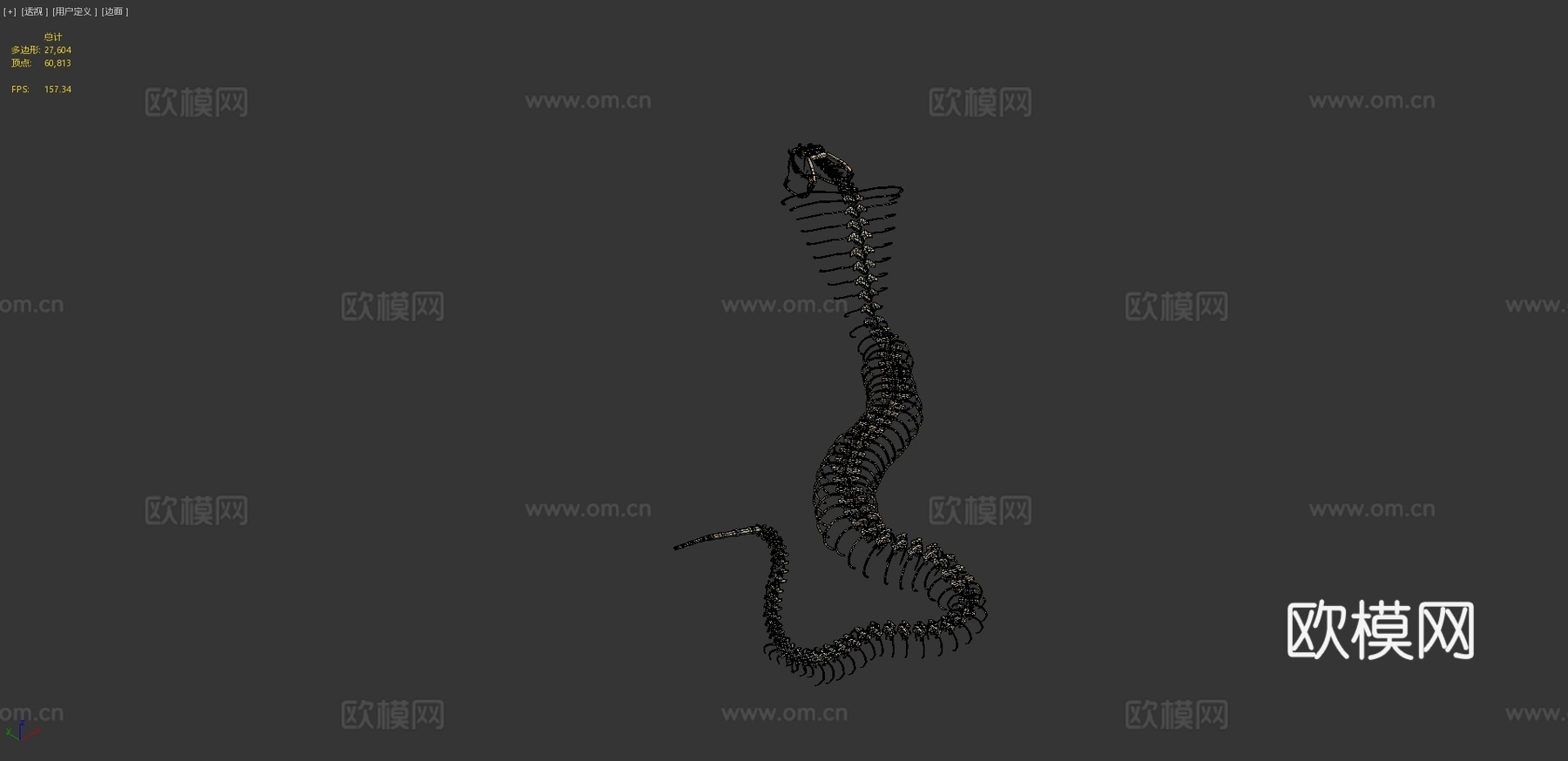 眼镜蛇骨架守卫3d模型