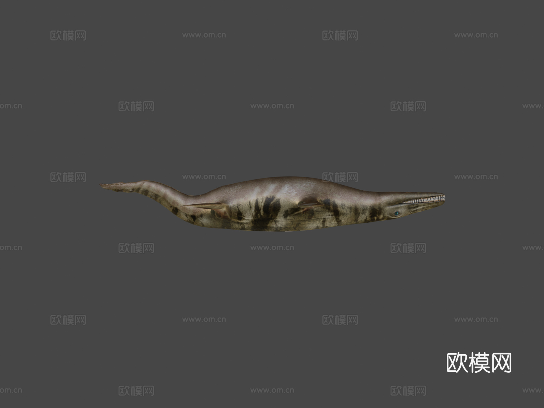 海洋蛇颈龙沧龙3d模型