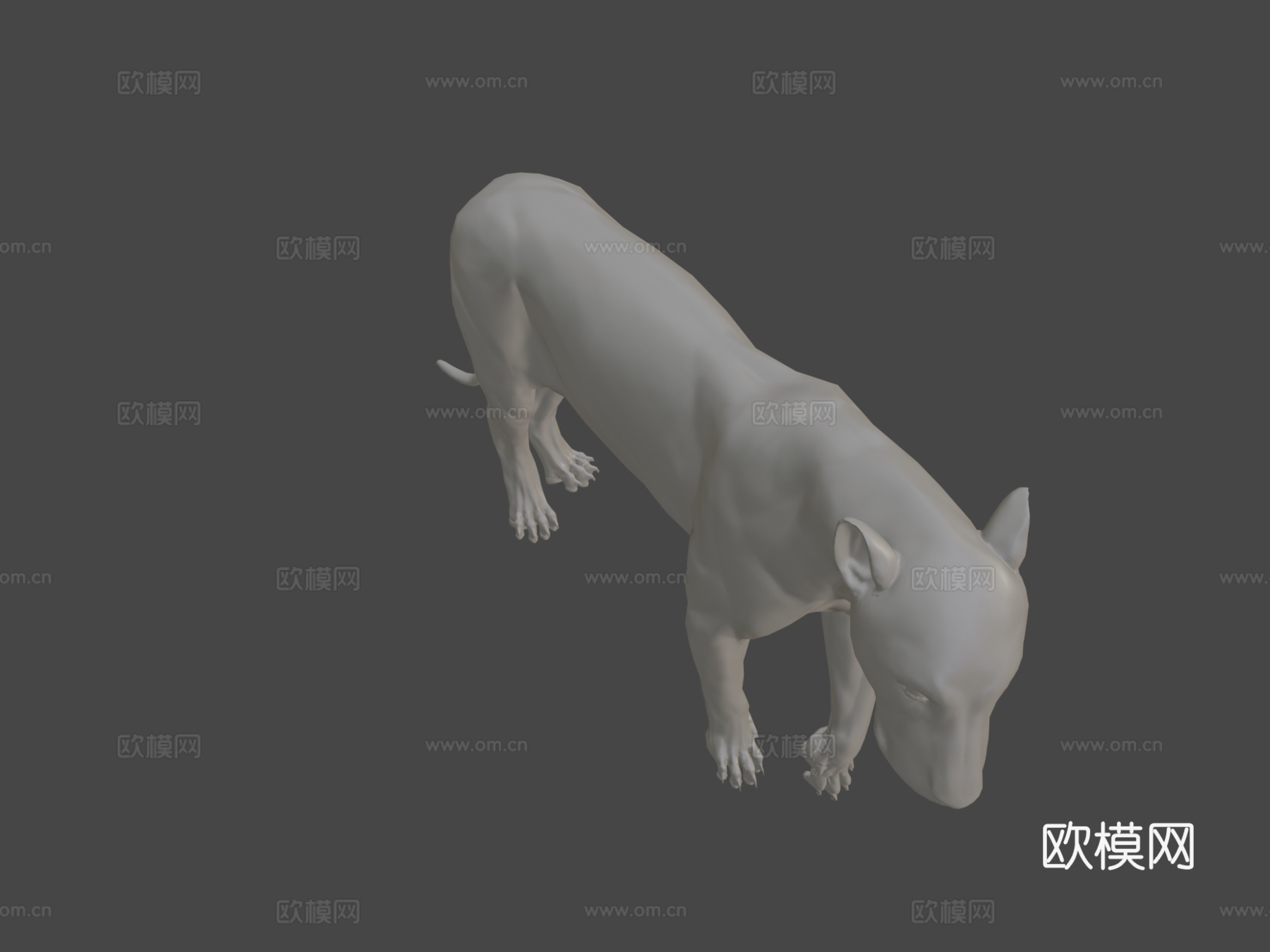 狮子解剖研究3d模型