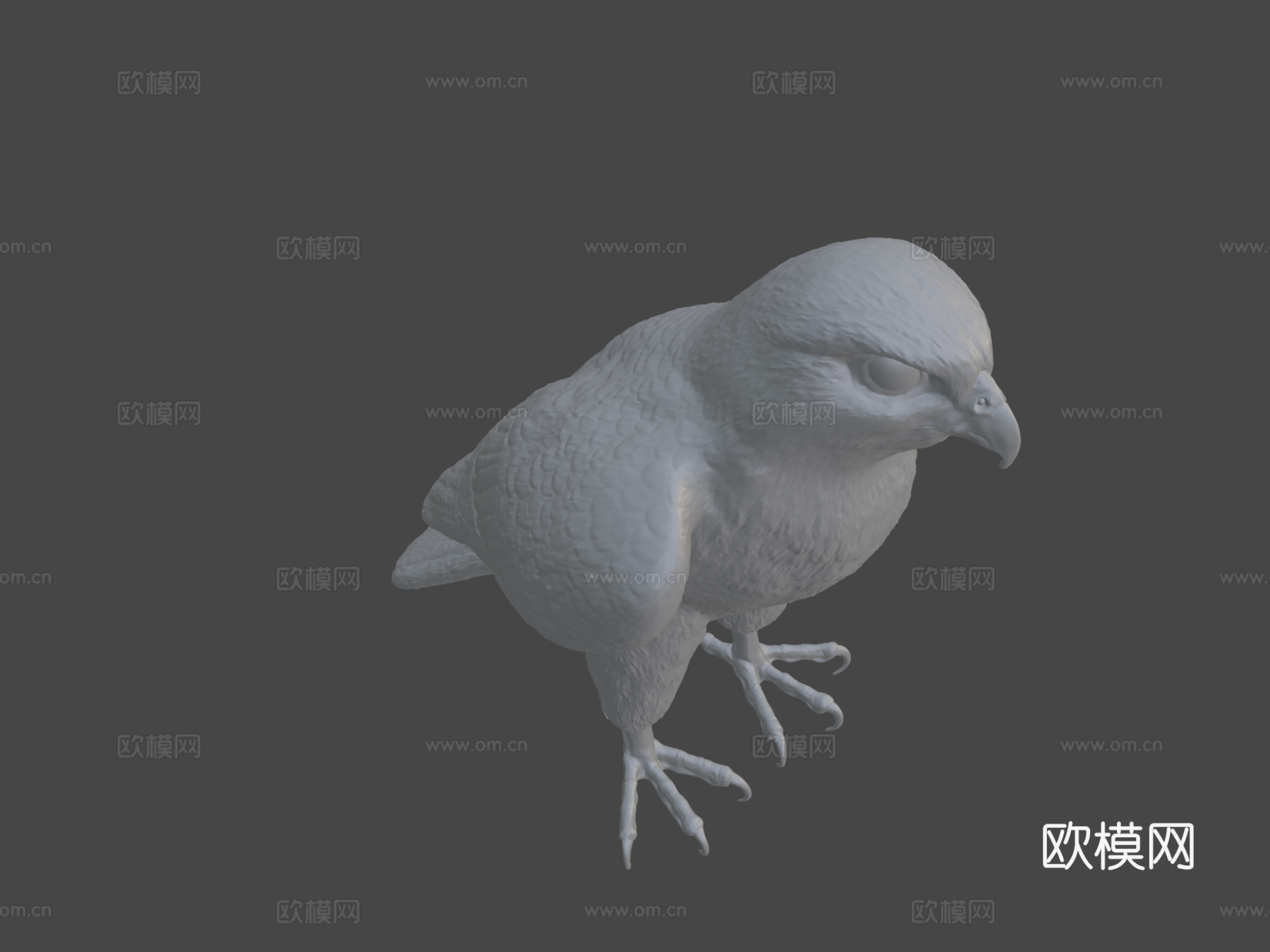 D模型猎鹰鸟3d模型