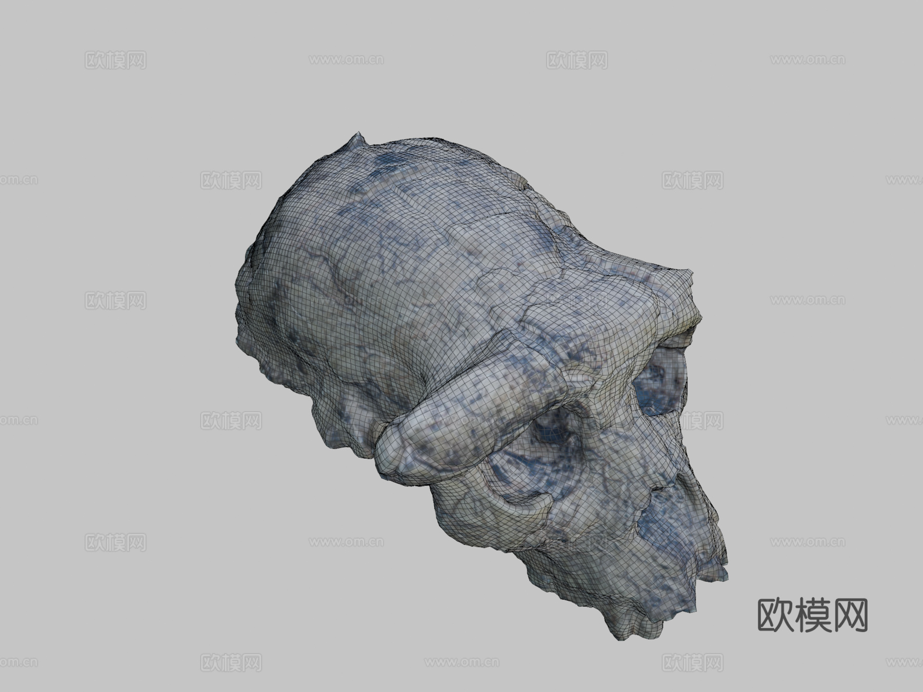 乍得沙赫人-头骨化石3d模型