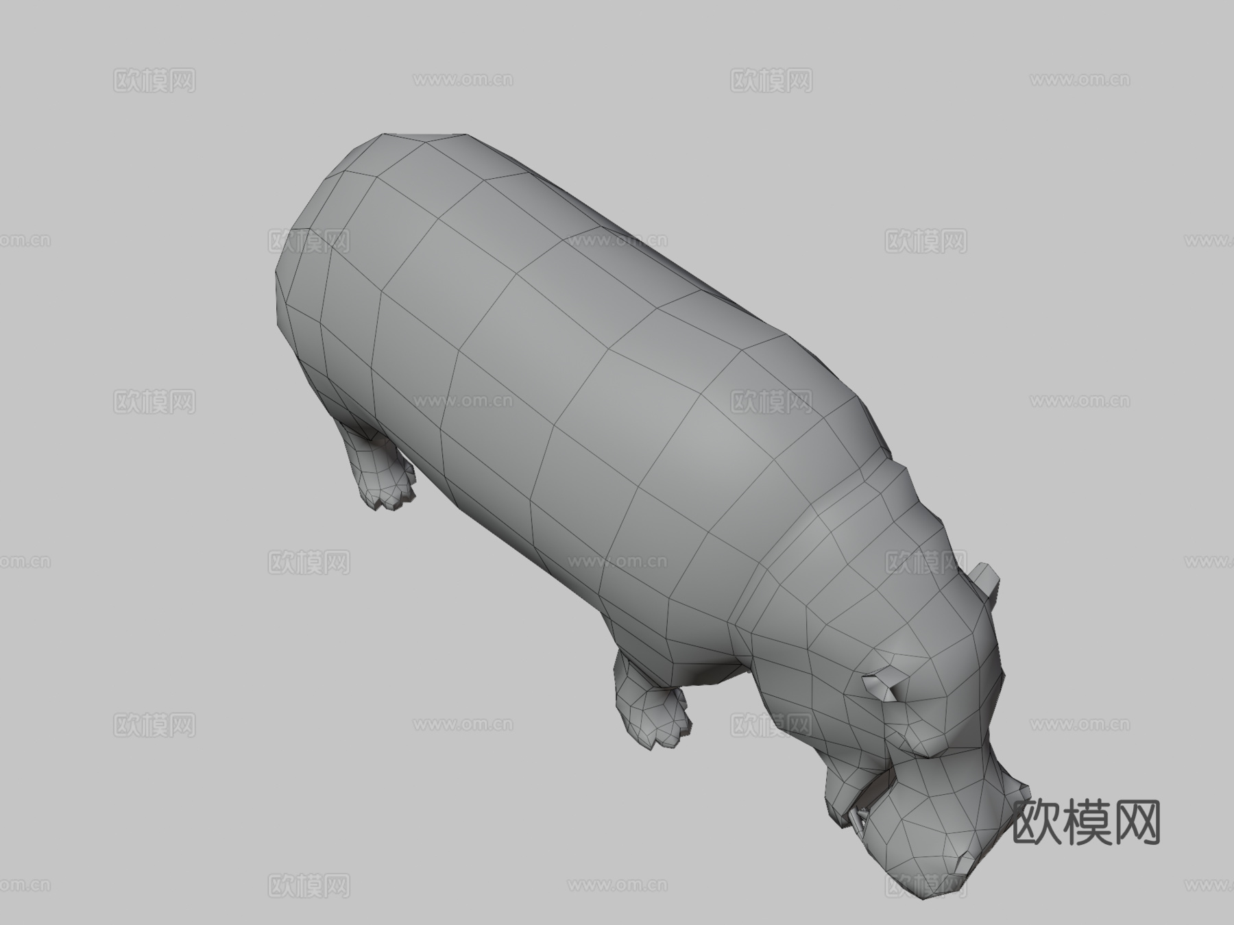 DRT-野生动物-河马3d模型