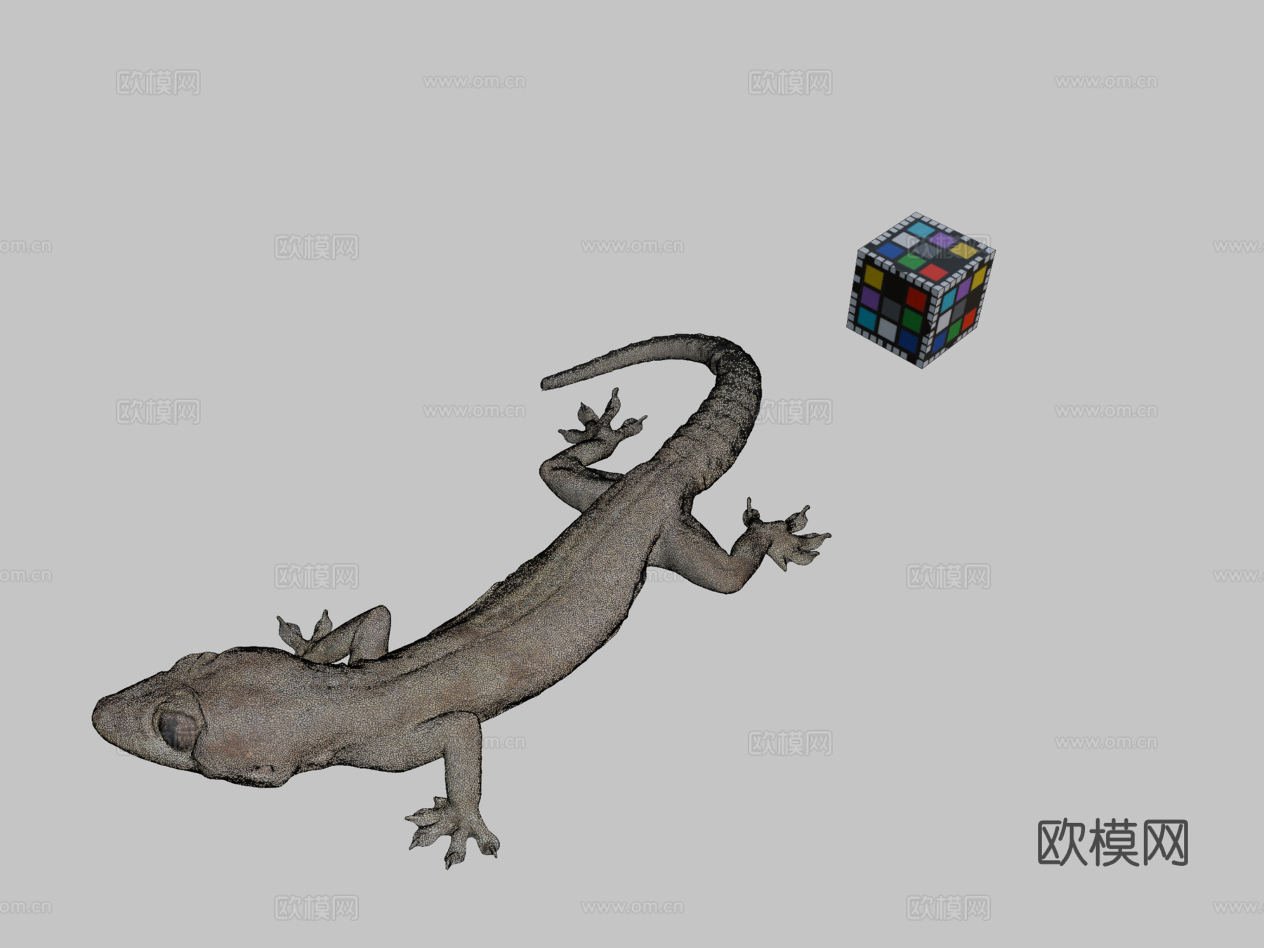 CC0家壁虎?3d模型