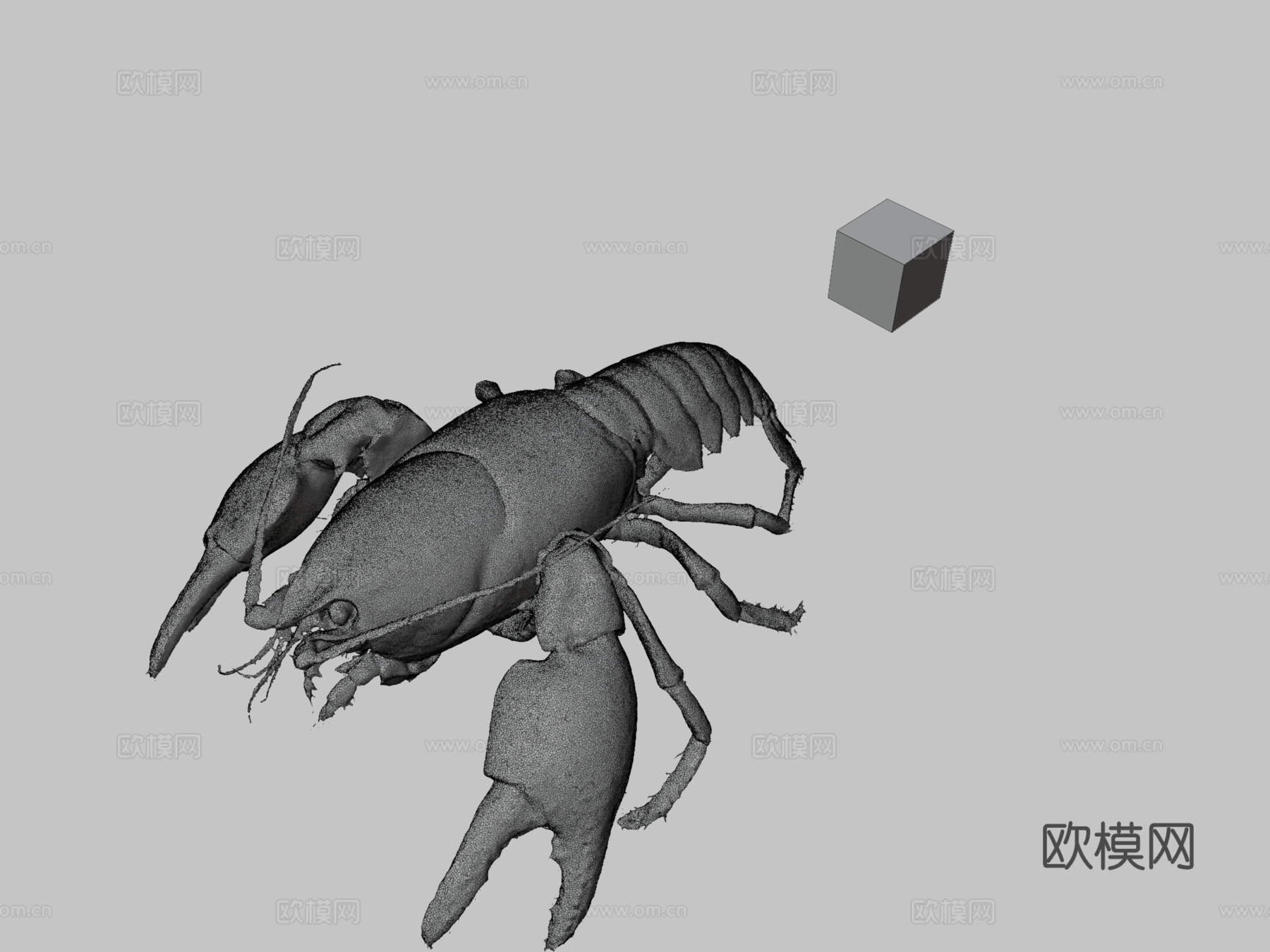 CC0日本蝲蛄?♂日本蝲蛄，日本种3d模型