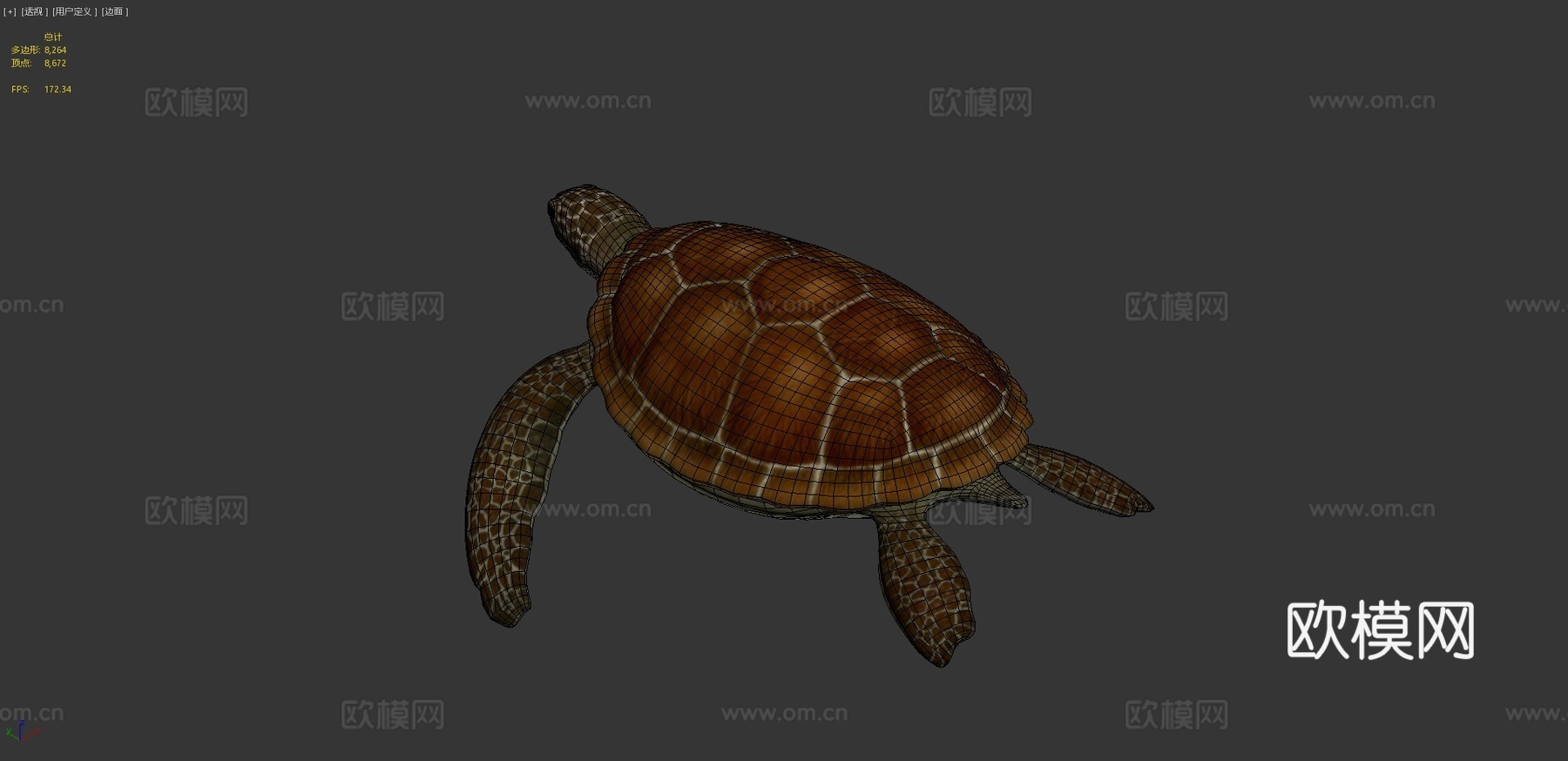 海龟低多边形3d模型