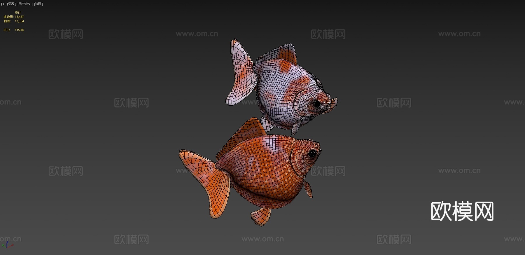 珍珠鳞金鱼3d模型