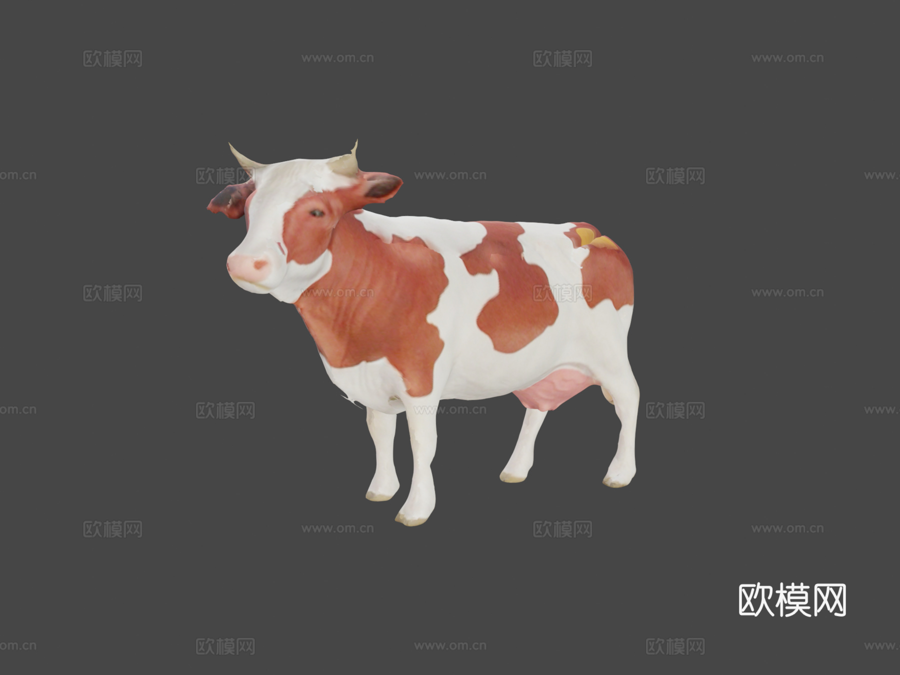 扫描奶牛3d模型