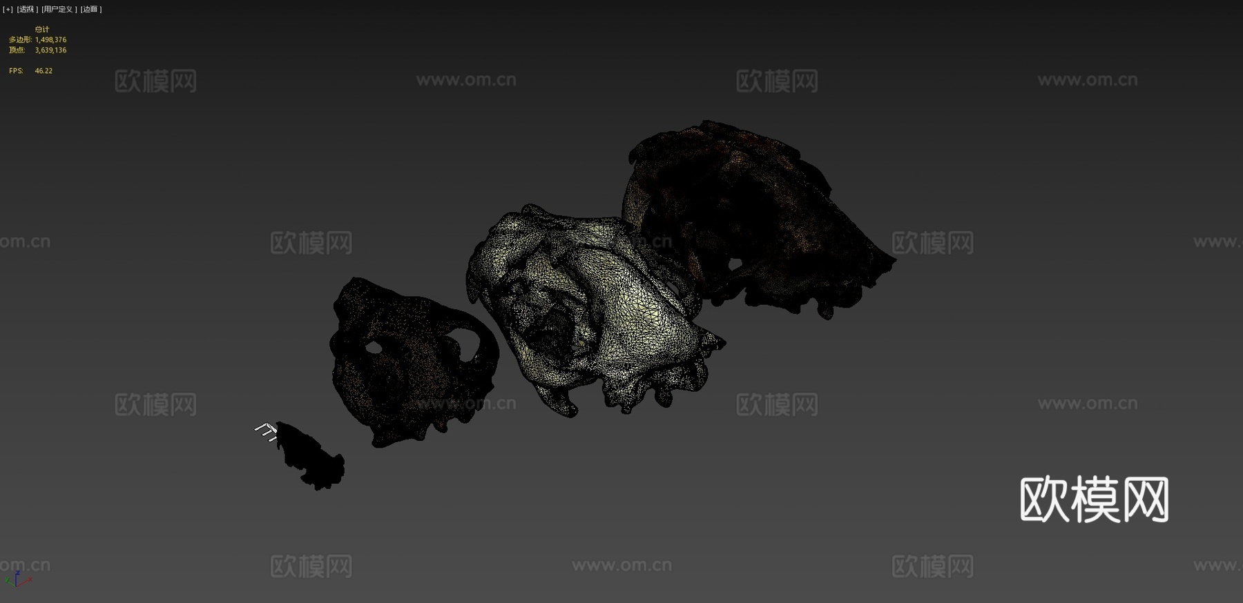 多种犬齿放大头骨3d模型