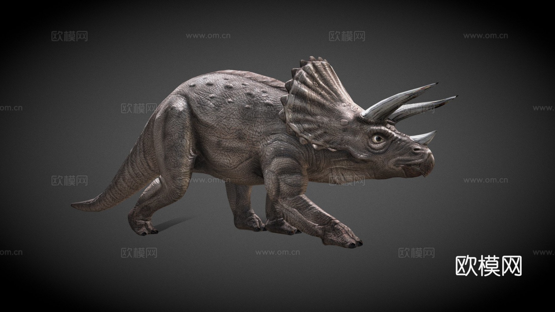 三角龙低多边形3d模型