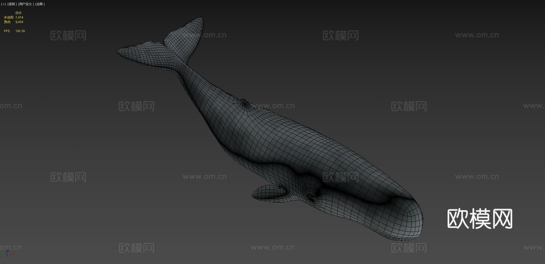 抹香鲸3d模型