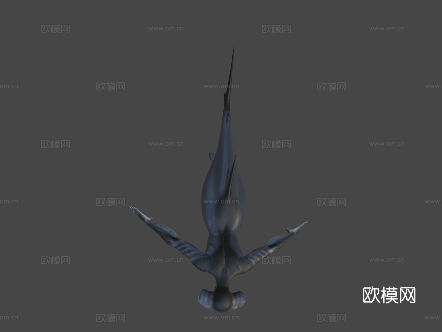 鲨鱼美人鱼3d模型
