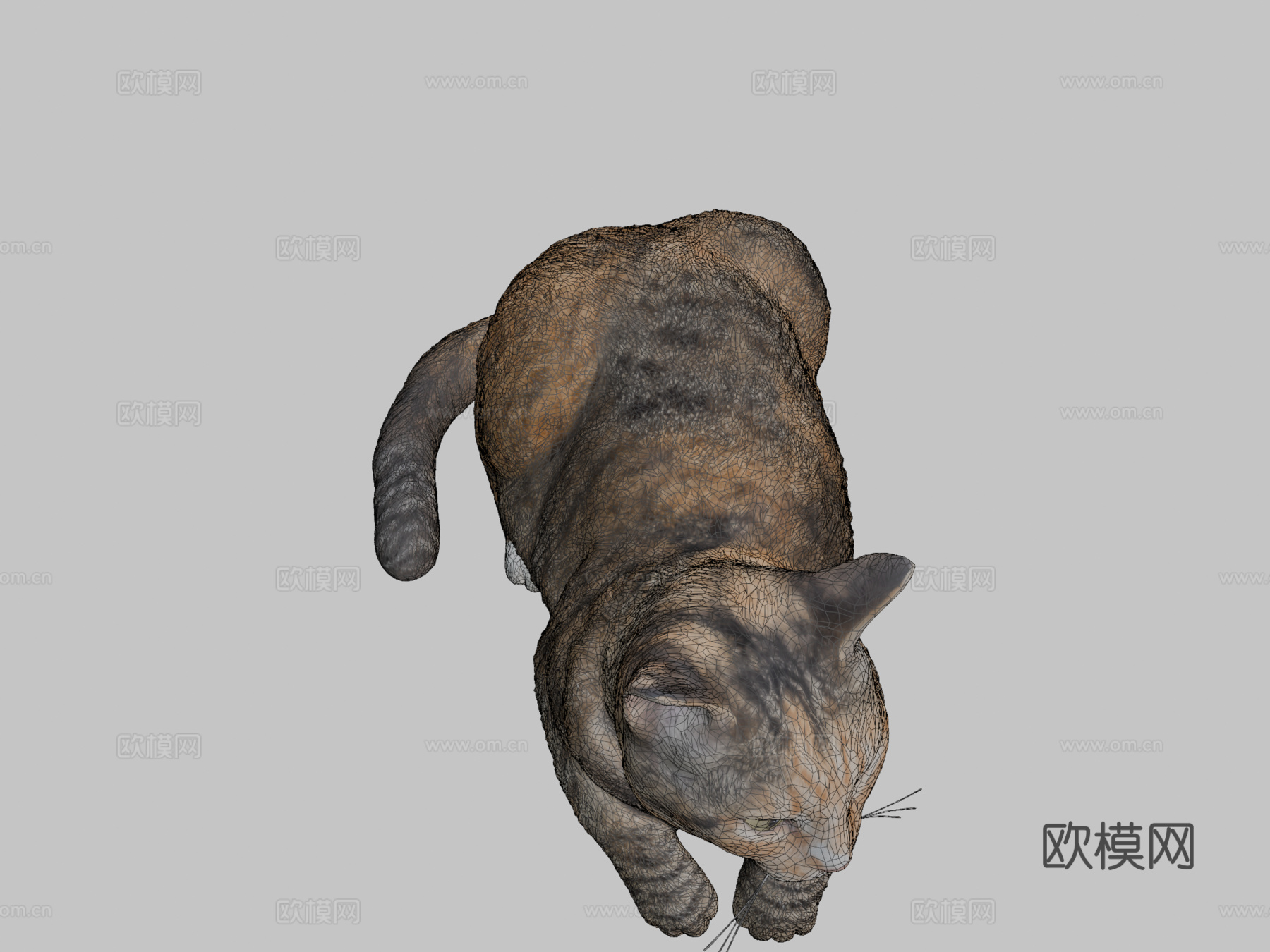 躺猫143d模型