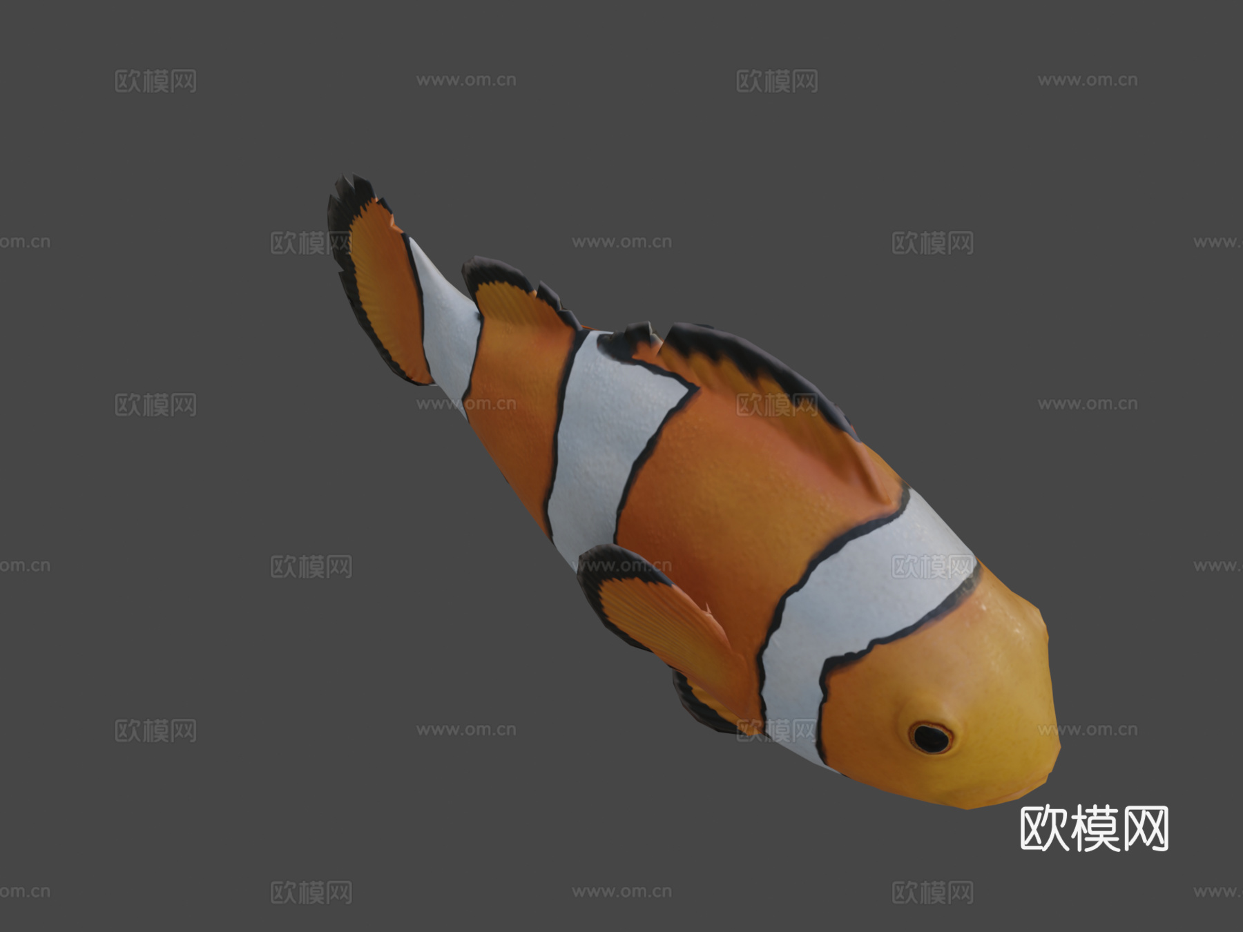 小丑鱼3d模型