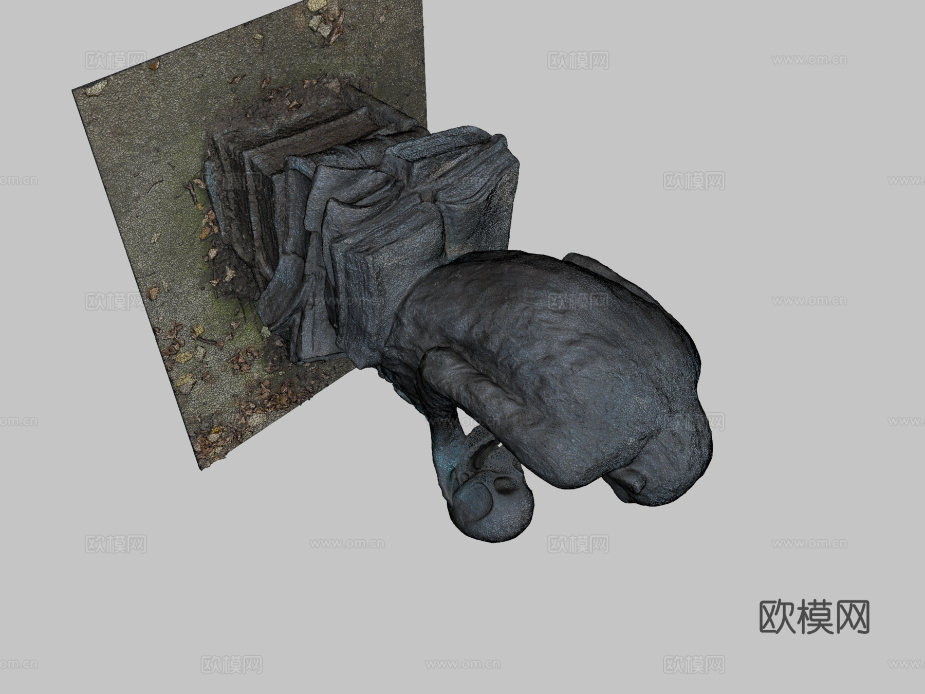 持骷髅的猴子3d模型