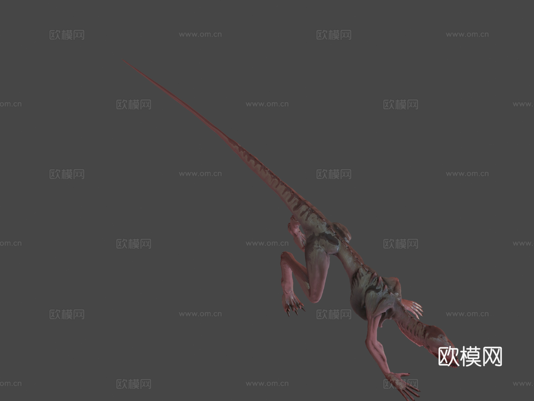 游戏就绪版埃比克斯生物3d模型