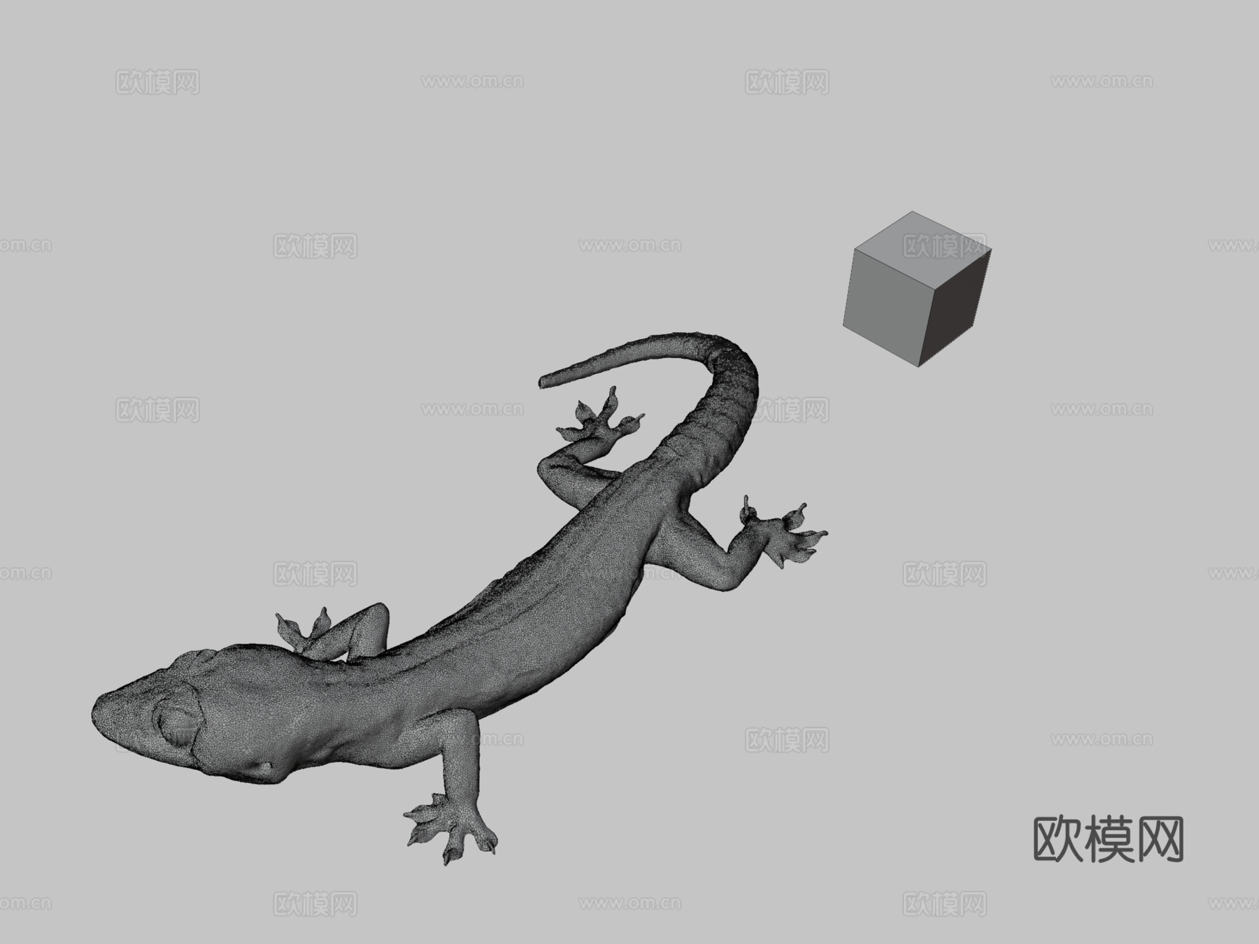 CC0家壁虎?3d模型