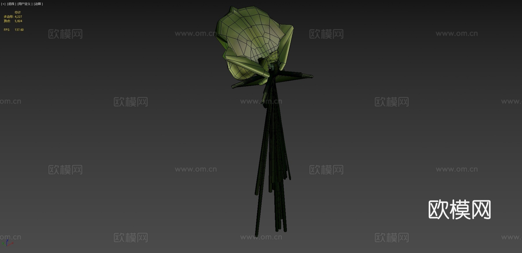 大鳍鱿鱼3d模型
