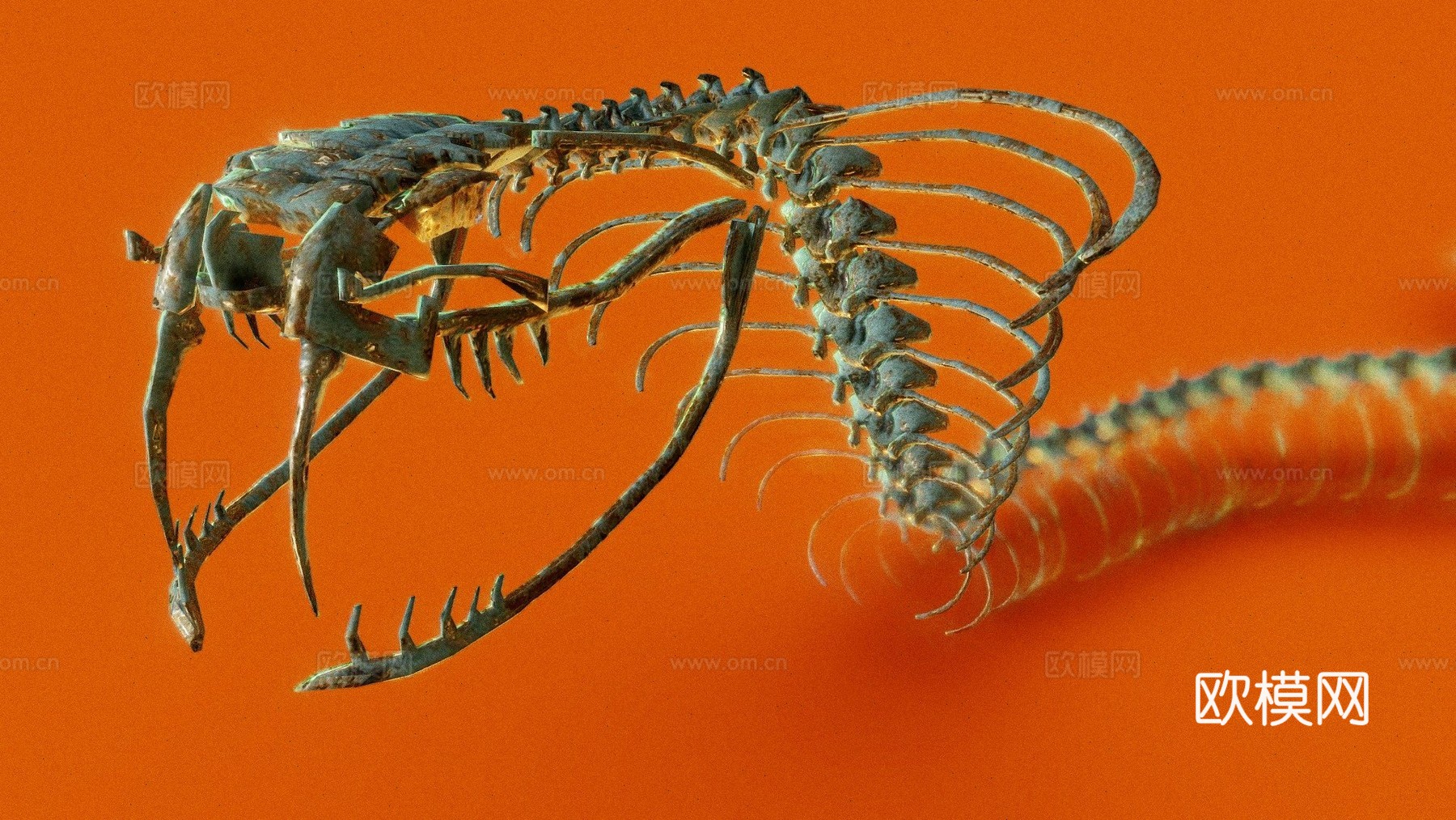 眼镜蛇骨架守卫3d模型