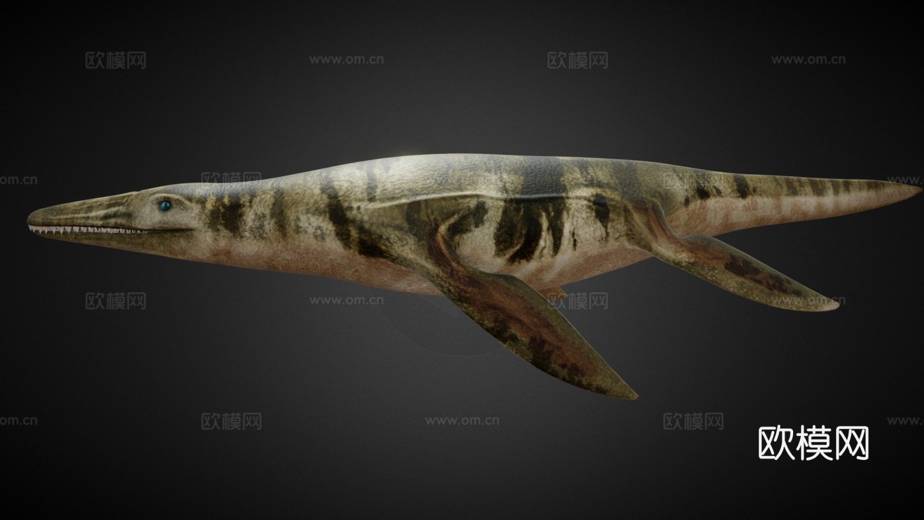 海洋蛇颈龙沧龙3d模型