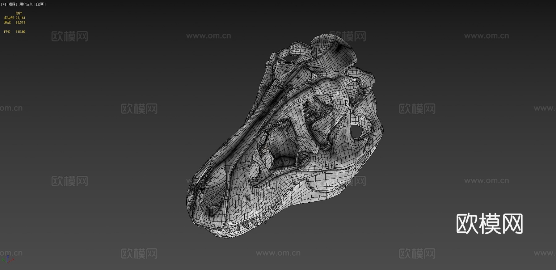 又一个霸王龙头骨3d模型