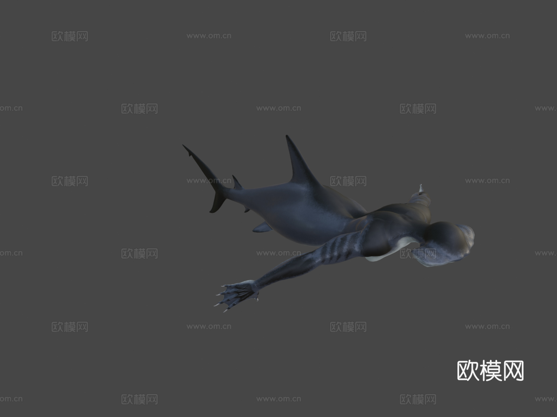 鲨鱼美人鱼3d模型