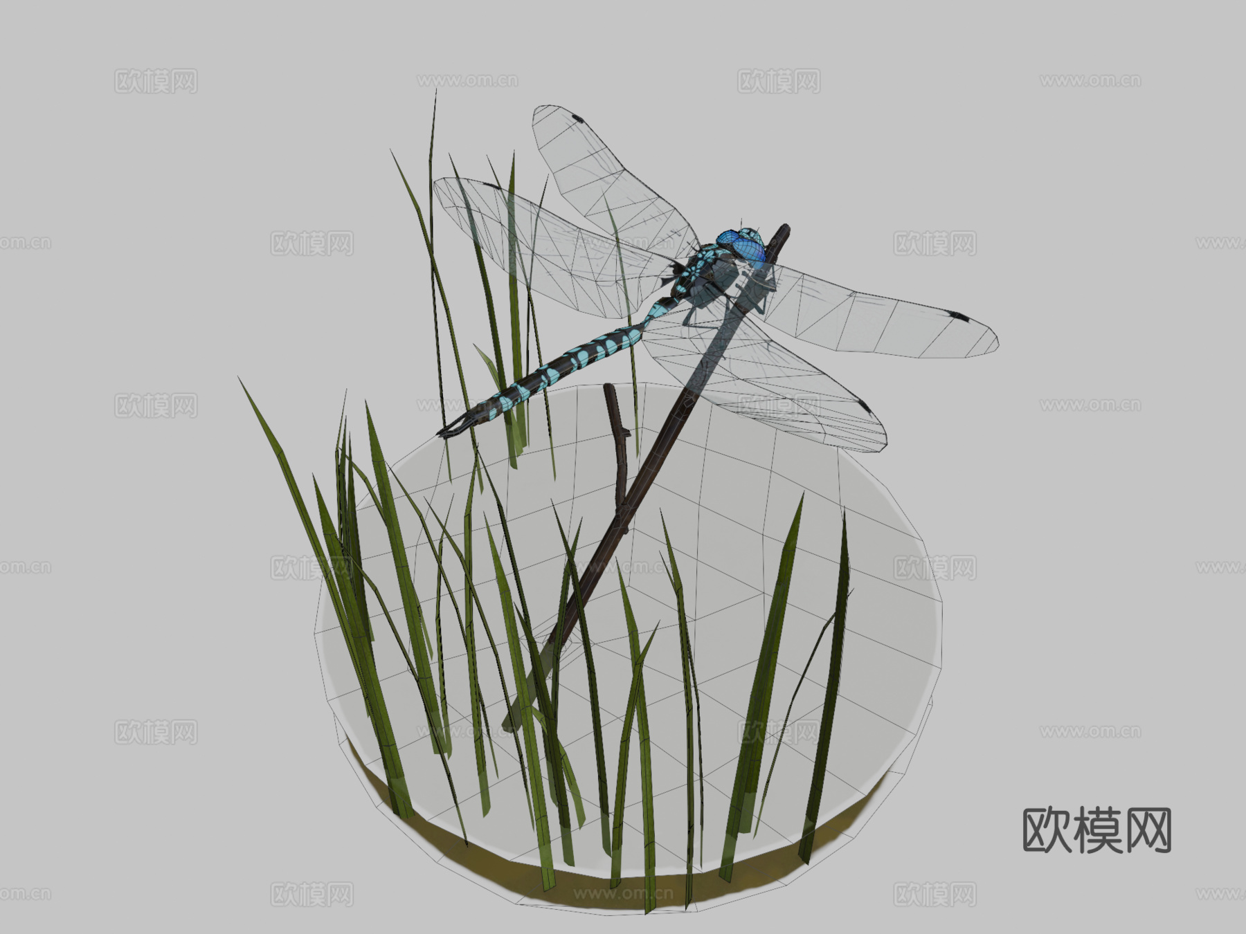 蓝蜻蜓3d模型