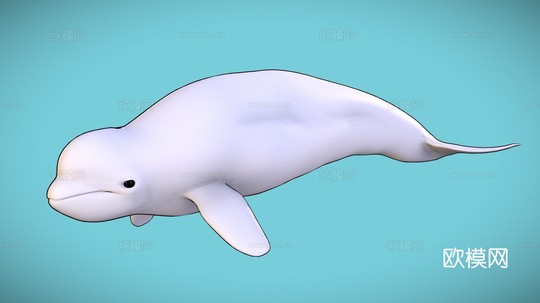 白鲸3d模型
